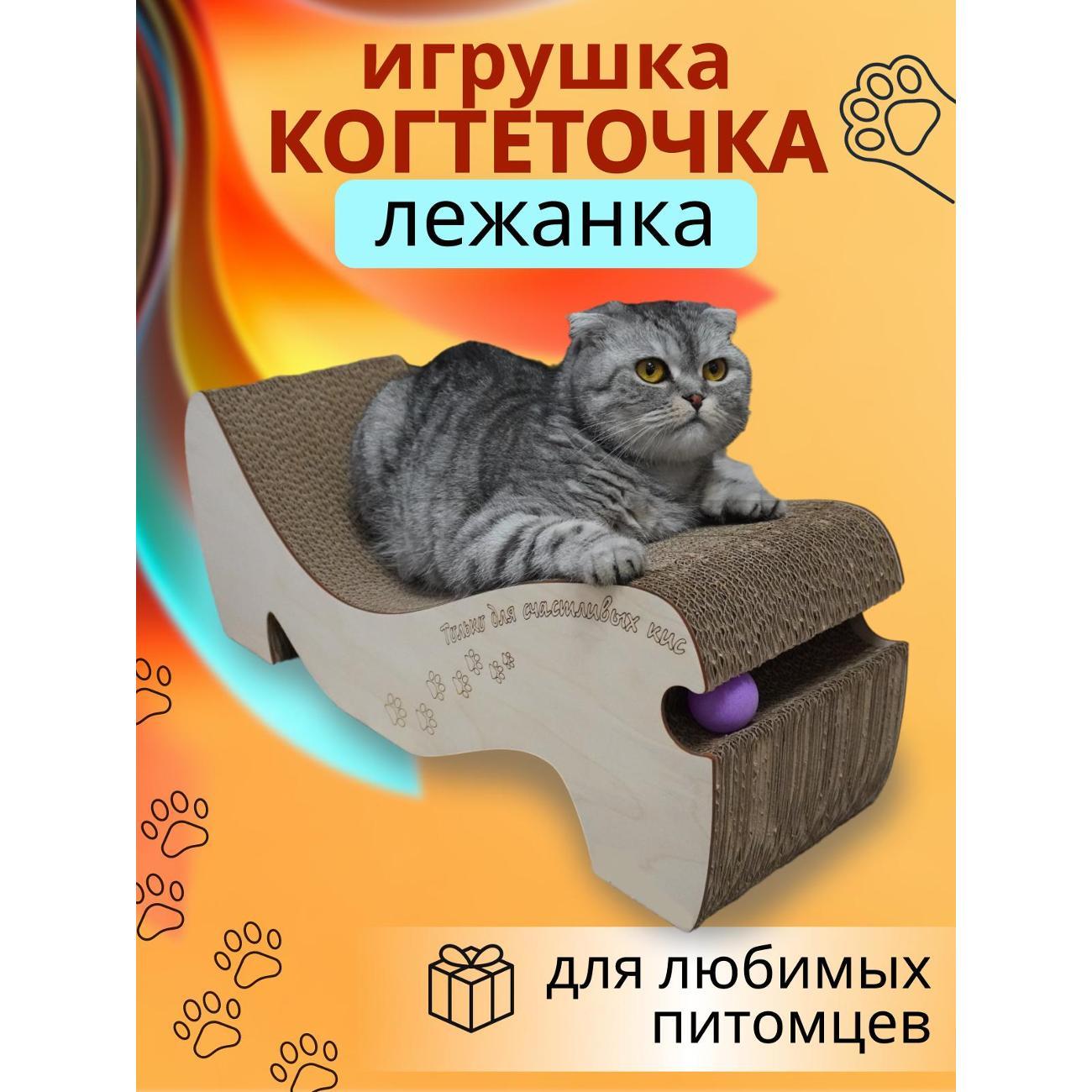 Когтеточка Doska12 Самокатик, 58*20*22 см