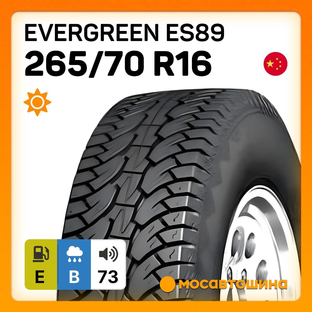 Шина автомобильная Evergreen Es89