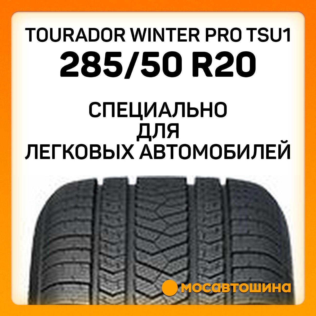Шина автомобильная Tourador Winter Pro TSU1