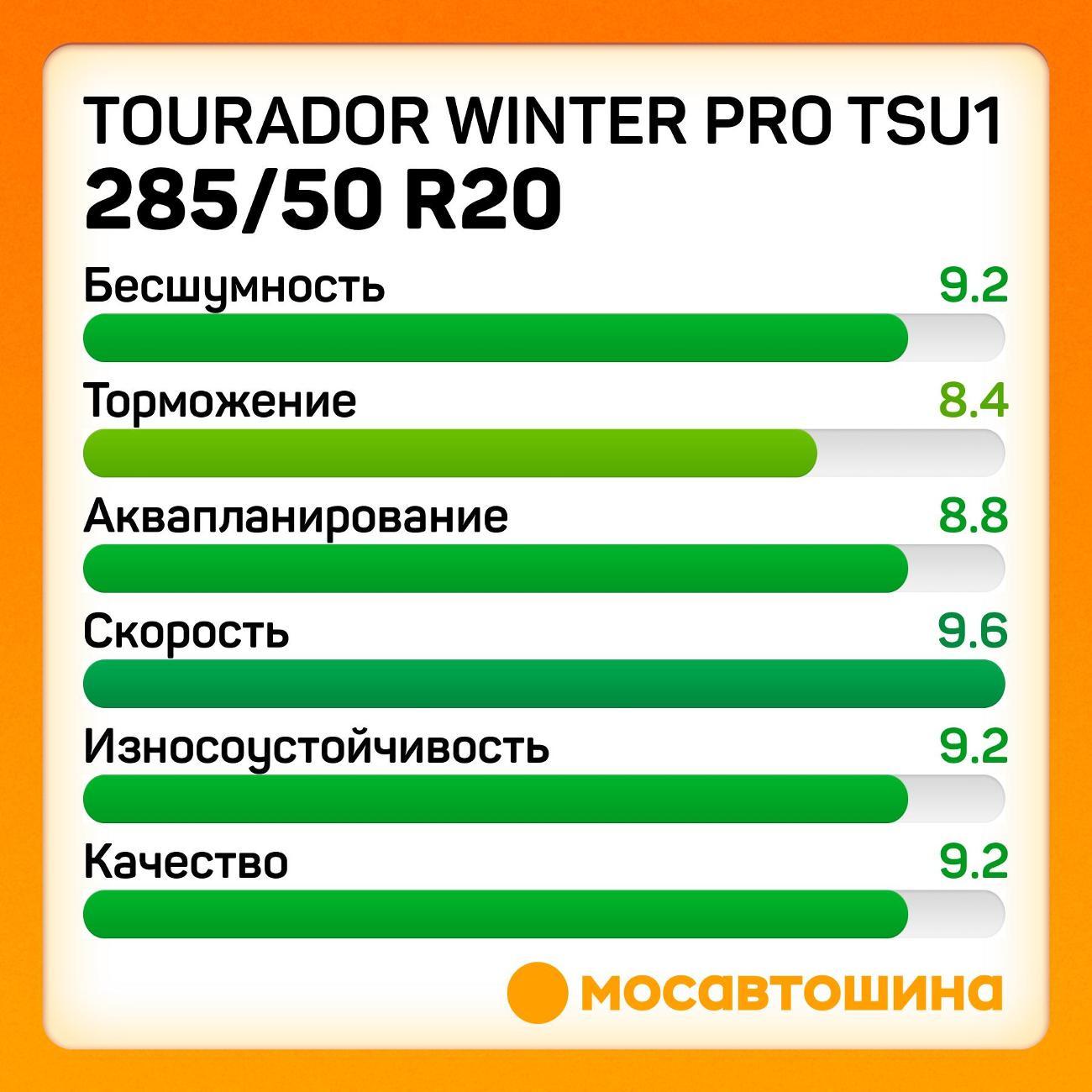 Шина автомобильная Tourador Winter Pro TSU1