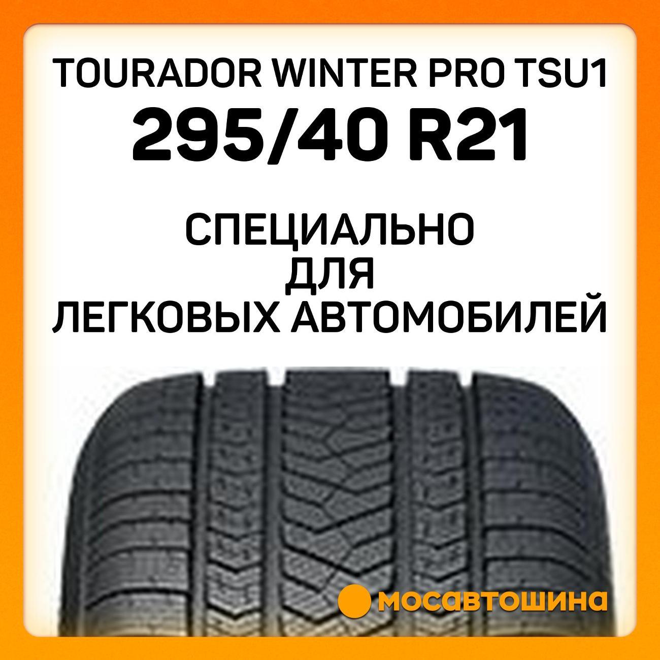 Шина автомобильная Tourador Winter Pro TSU1