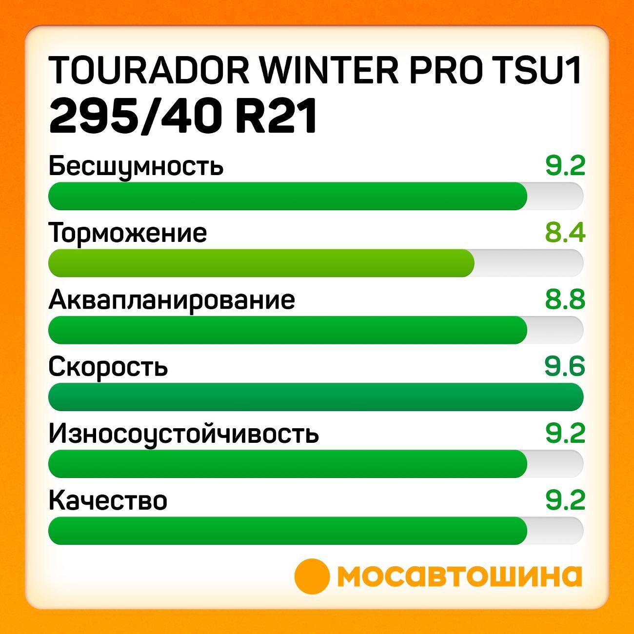 Шина автомобильная Tourador Winter Pro TSU1