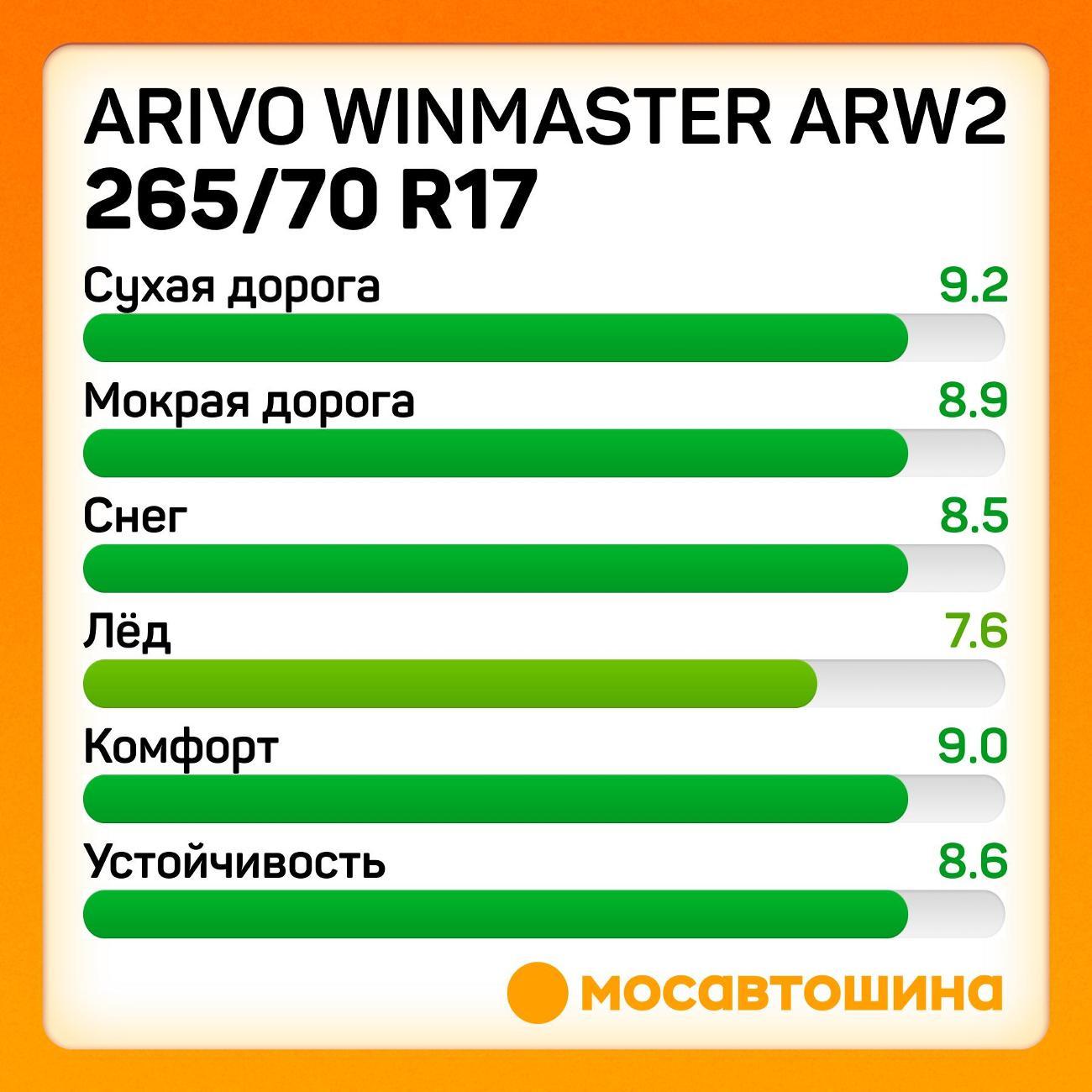 Шина автомобильная Arivo Winmaster ARW2