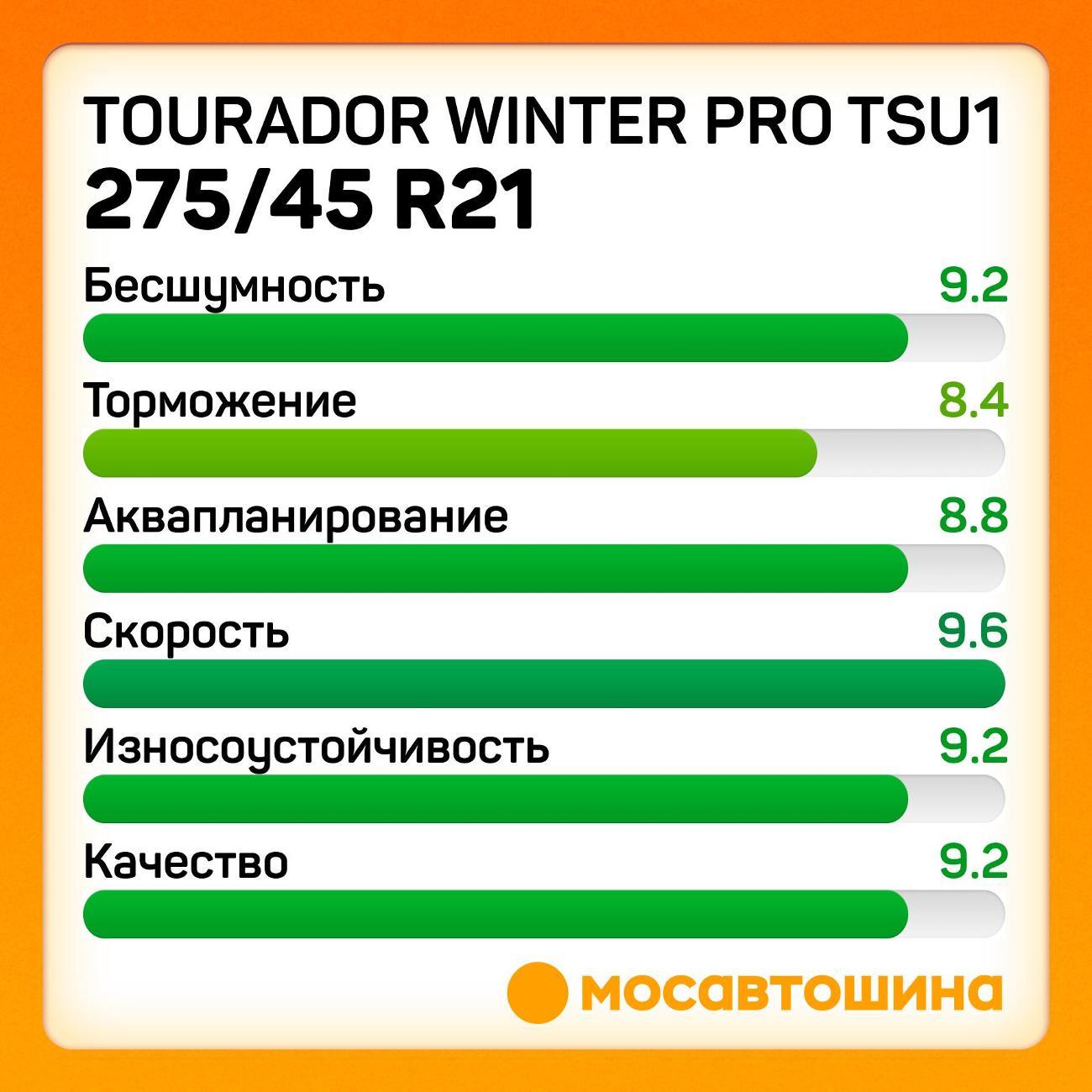 Шина автомобильная Tourador Winter Pro TSU1