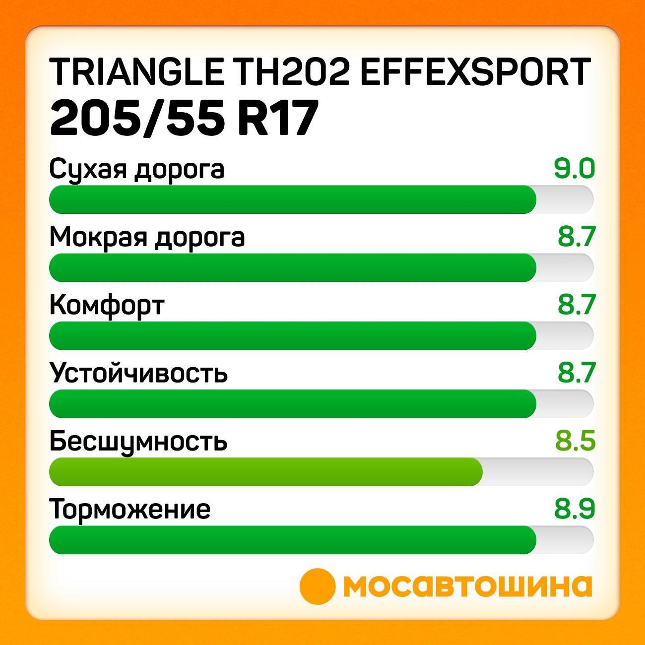 Шина автомобильная TRIANGLE TH202 EffeXSport 205/55 R17 95W XL