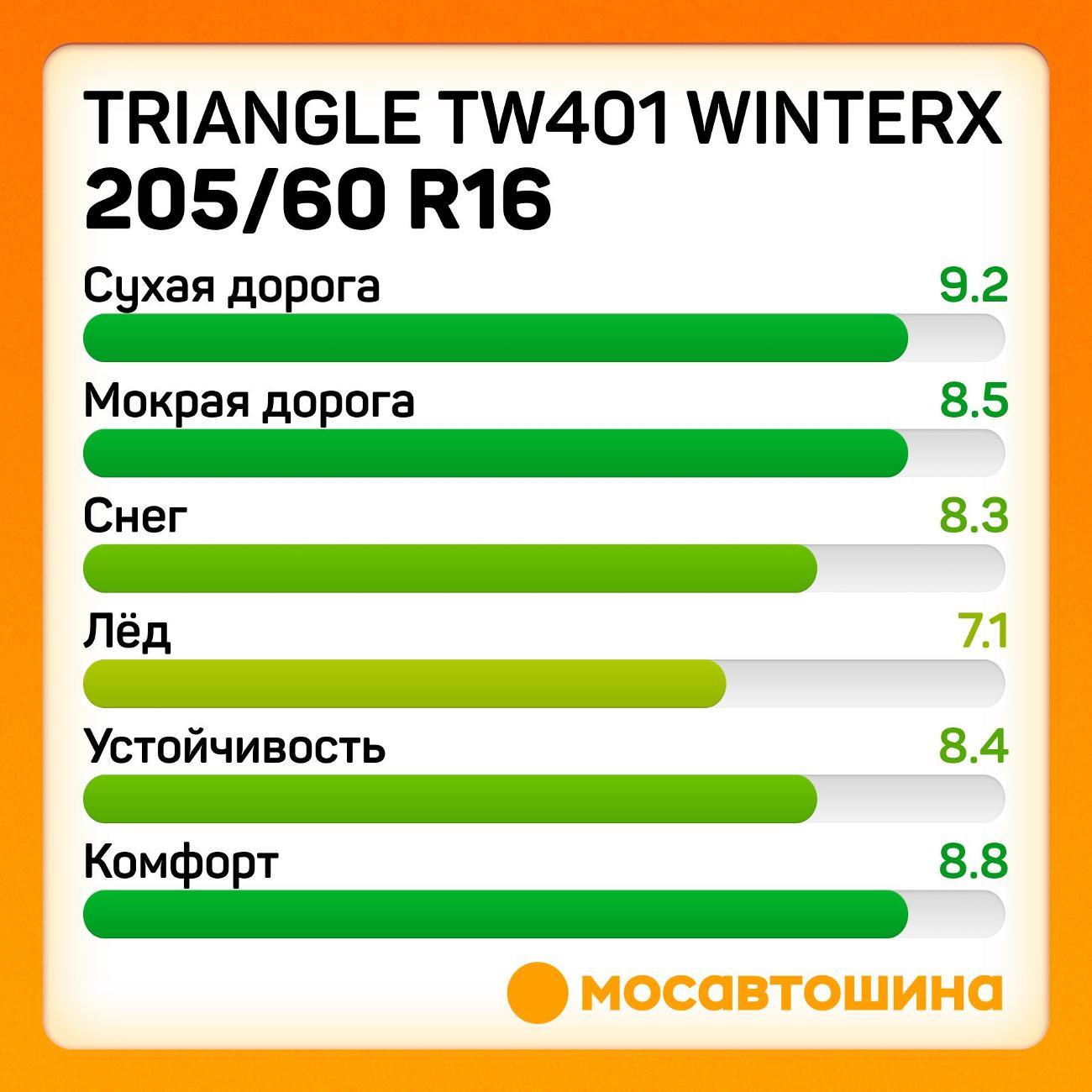 Шина автомобильная TRIANGLE TW401 WinterX 205/60 R16 96H XL