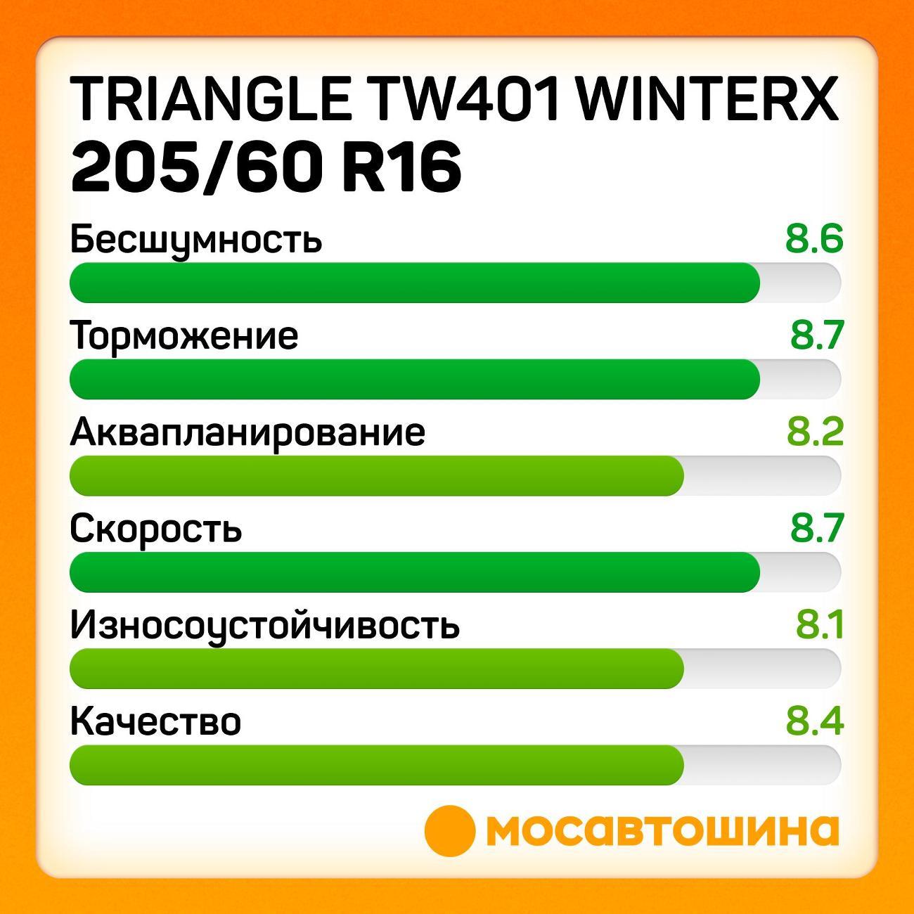Шина автомобильная TRIANGLE TW401 WinterX 205/60 R16 96H XL