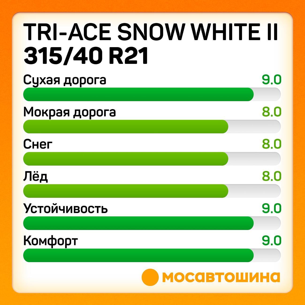 Шина автомобильная Tri-Ace Snow White II 315/40 R21 111H