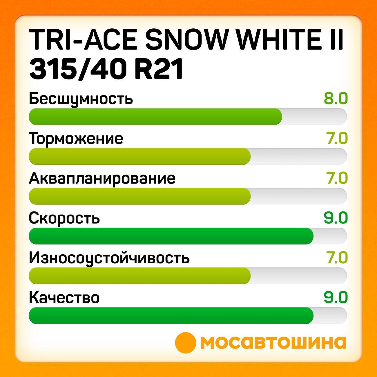 Шина автомобильная Tri-Ace Snow White II 315/40 R21 111H