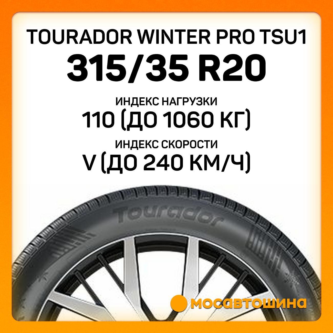 Шина автомобильная Tourador Winter Pro TSU1
