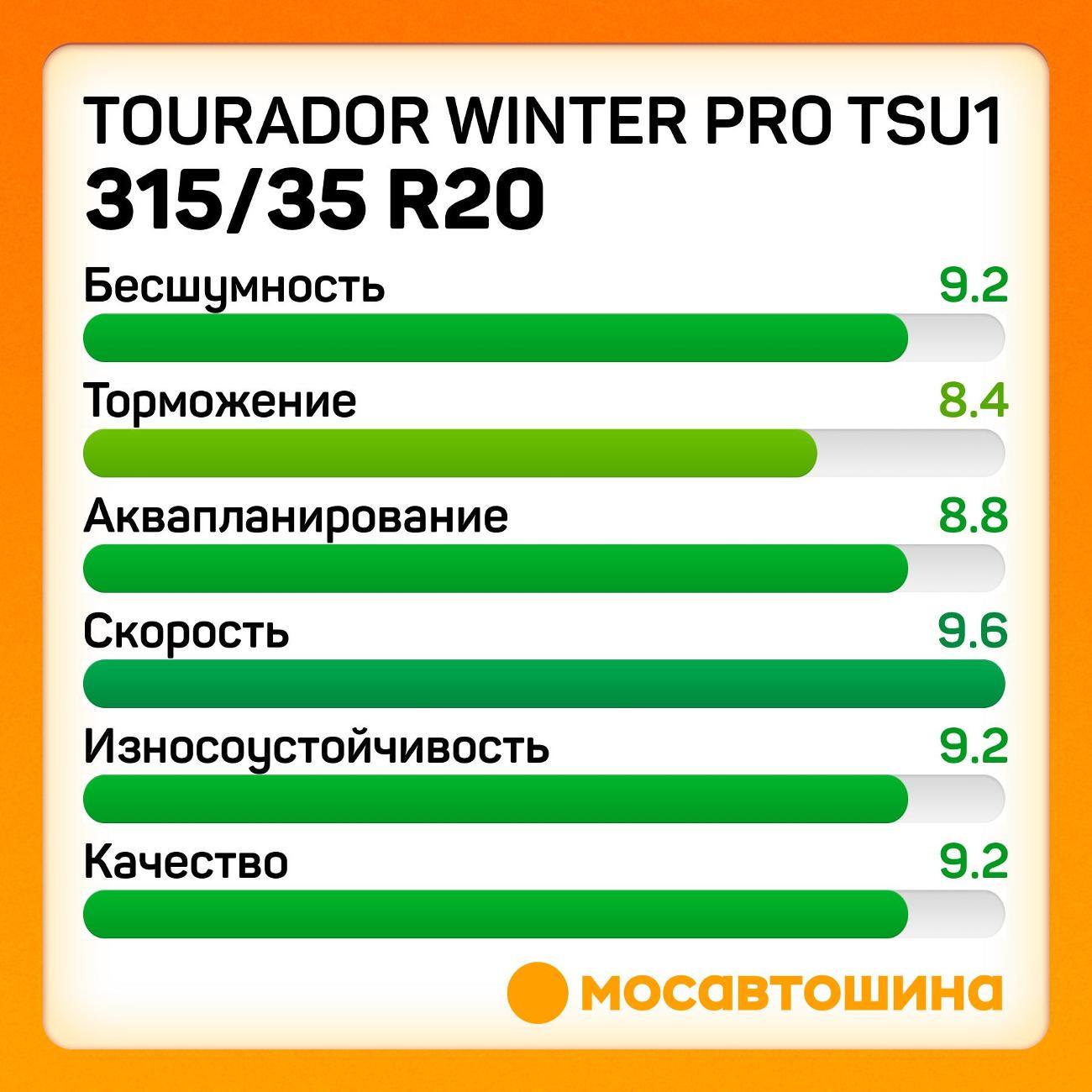 Шина автомобильная Tourador Winter Pro TSU1