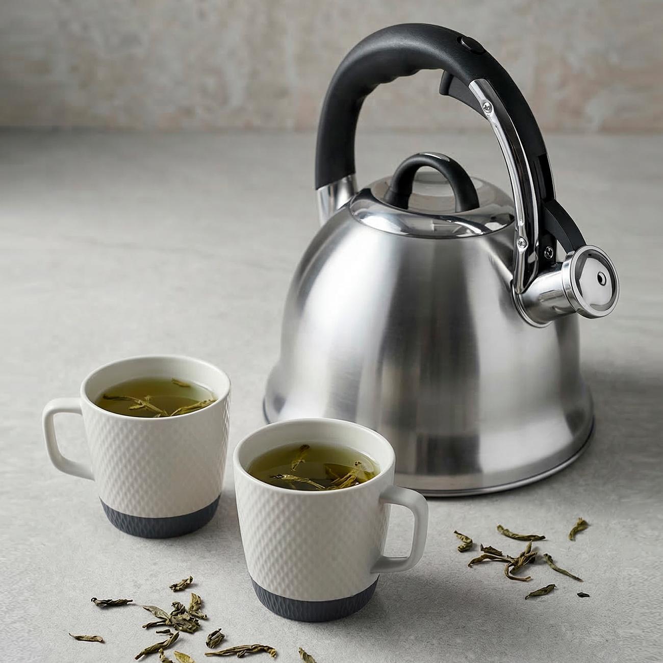 Чайник для плит со свистком 3 л REGENT inox TEA