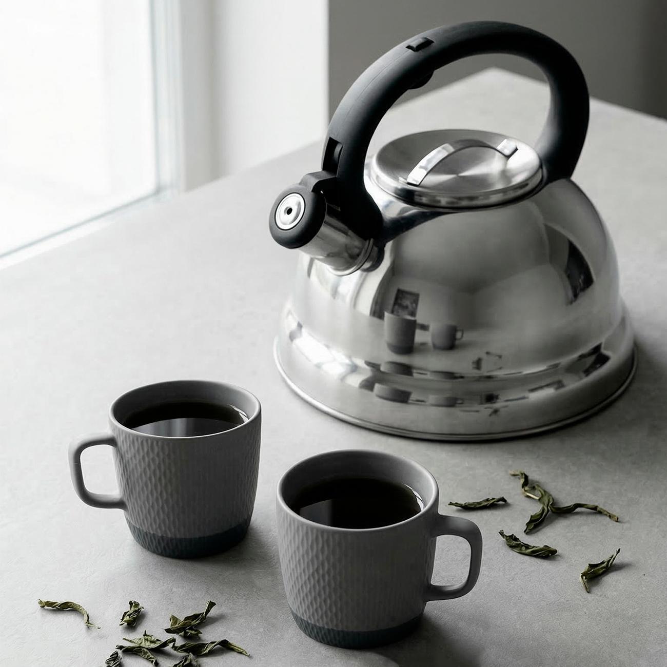 Чайник для плит со свистком 3 л REGENT inox TEA