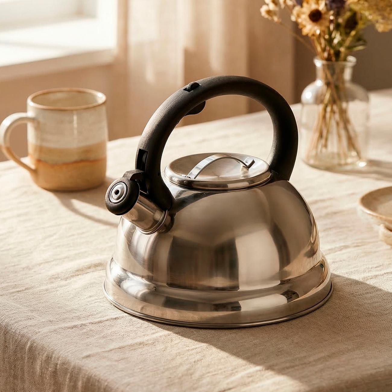 Чайник для плит со свистком 3 л REGENT inox TEA