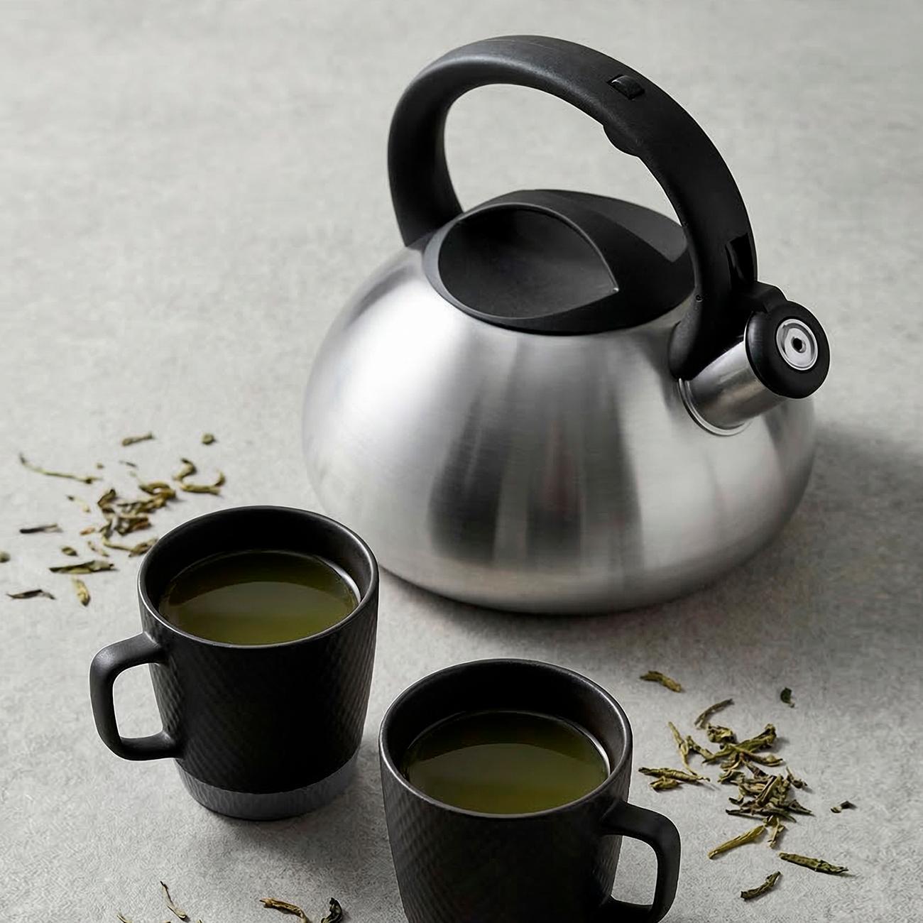 Чайник для плит со свистком 3 л REGENT inox TEA