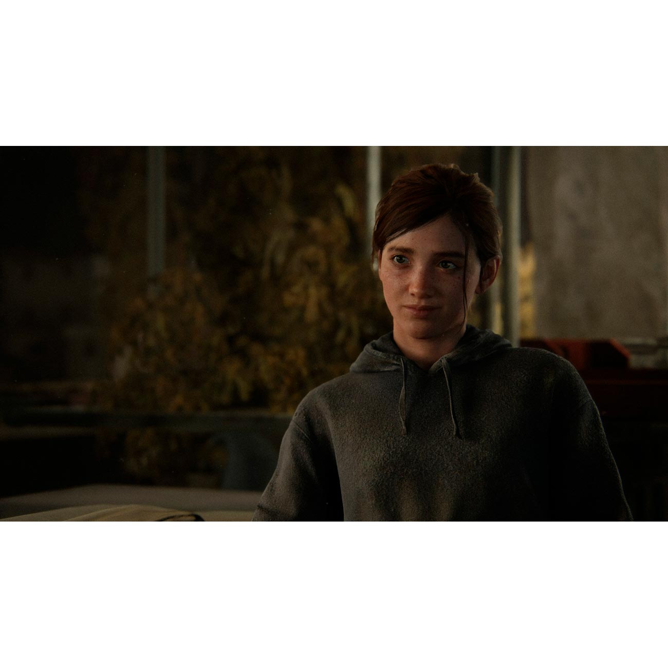 PS4 игра Sony Одни из нас: Часть II. Special Edition