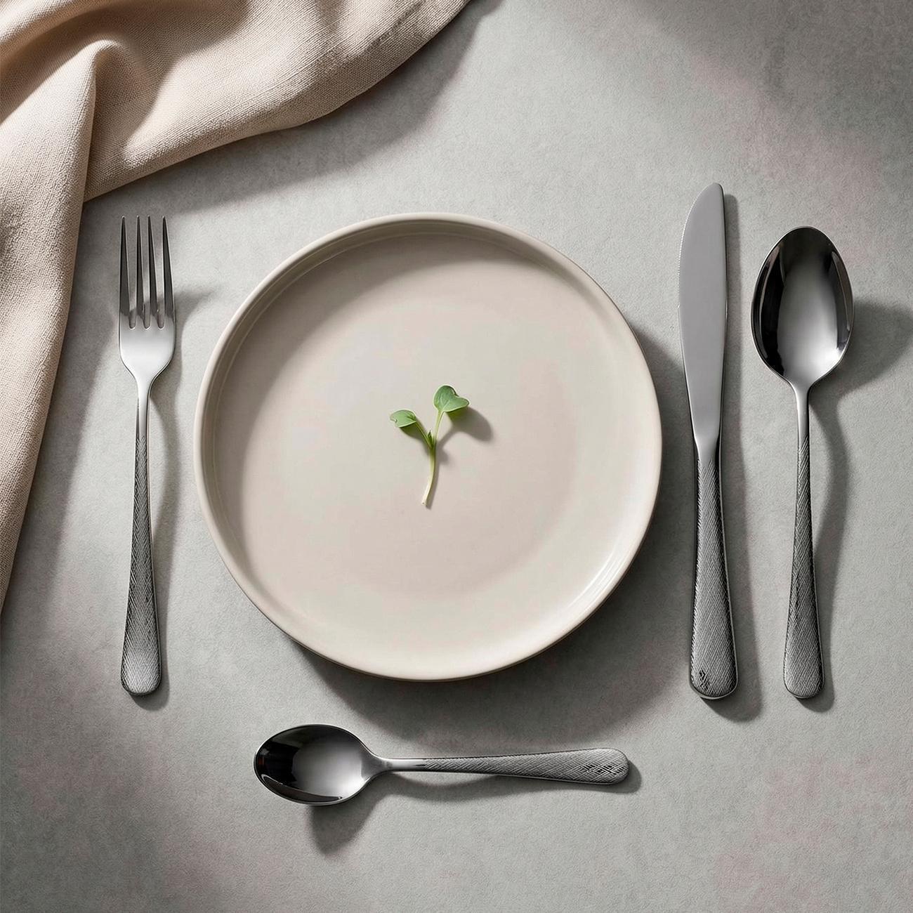 Набор столовых приборов 24 предмета REGENT inox STYLE