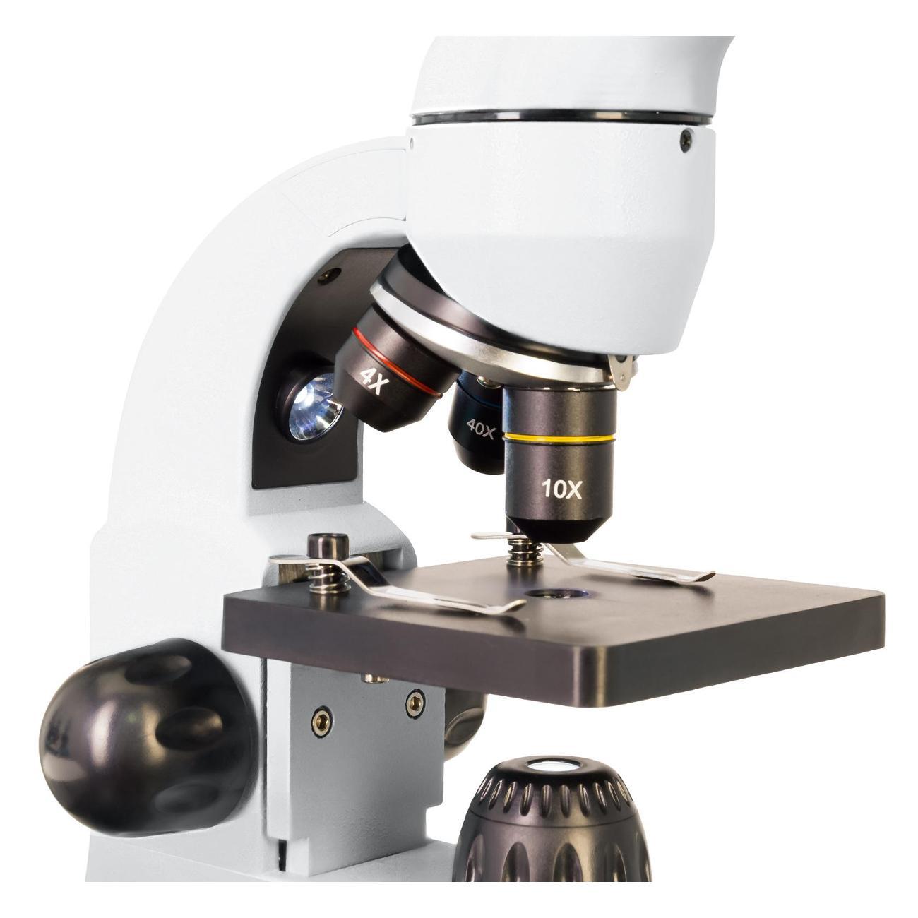 Микроскоп Levenhuk Rainbow 50L PLUS