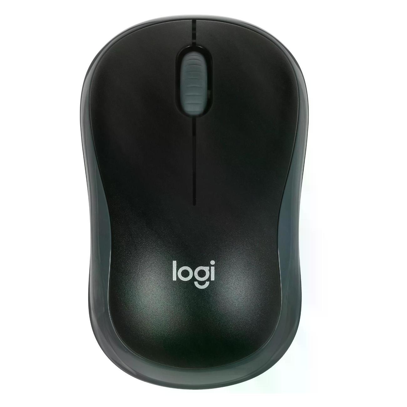 Комплект клавиатура+мышь Logitech MK270 (920-003381) черный