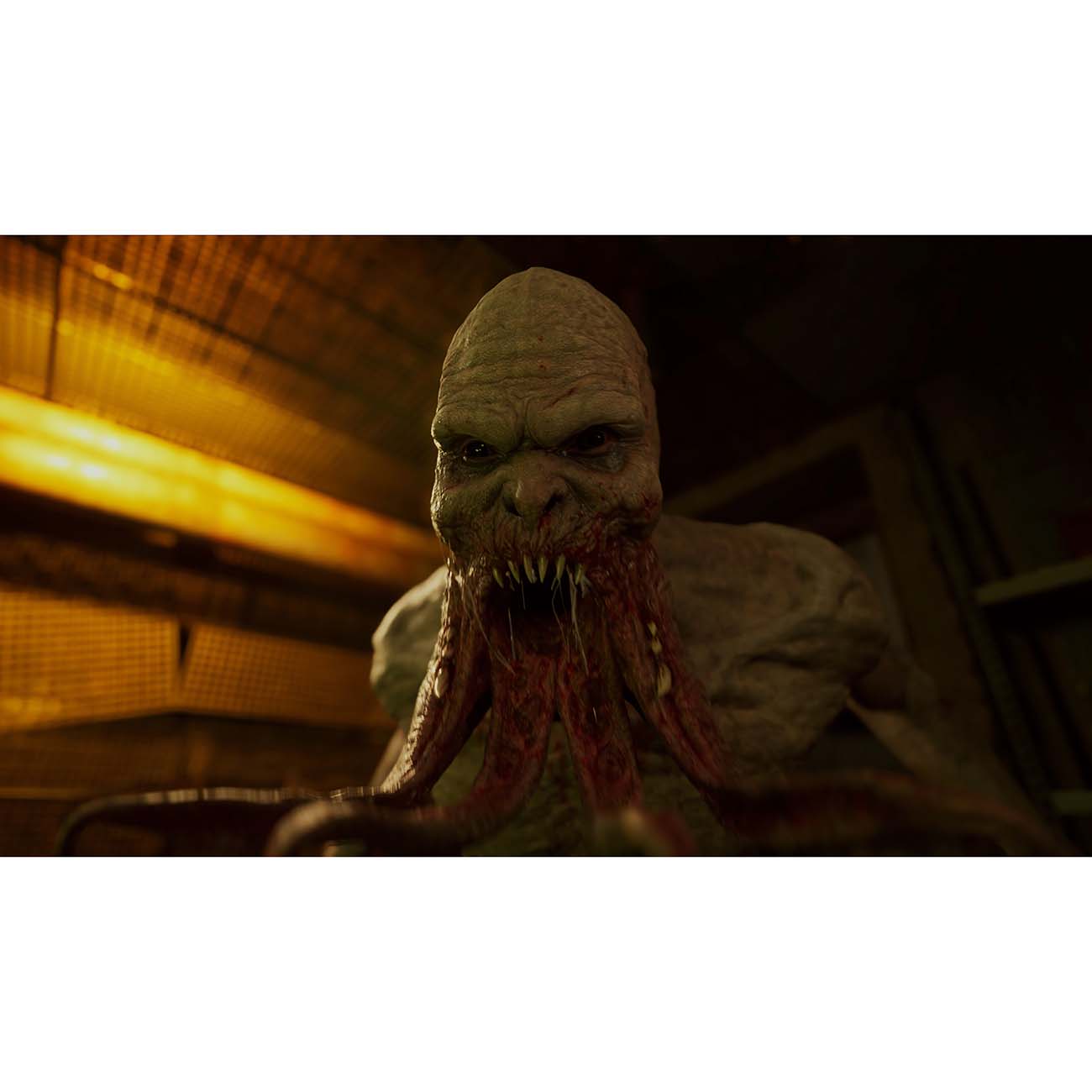 Xbox игра GSC Game World S.T.A.L.K.E.R. 2: Heart of Chernobyl.Лимитир.изд.