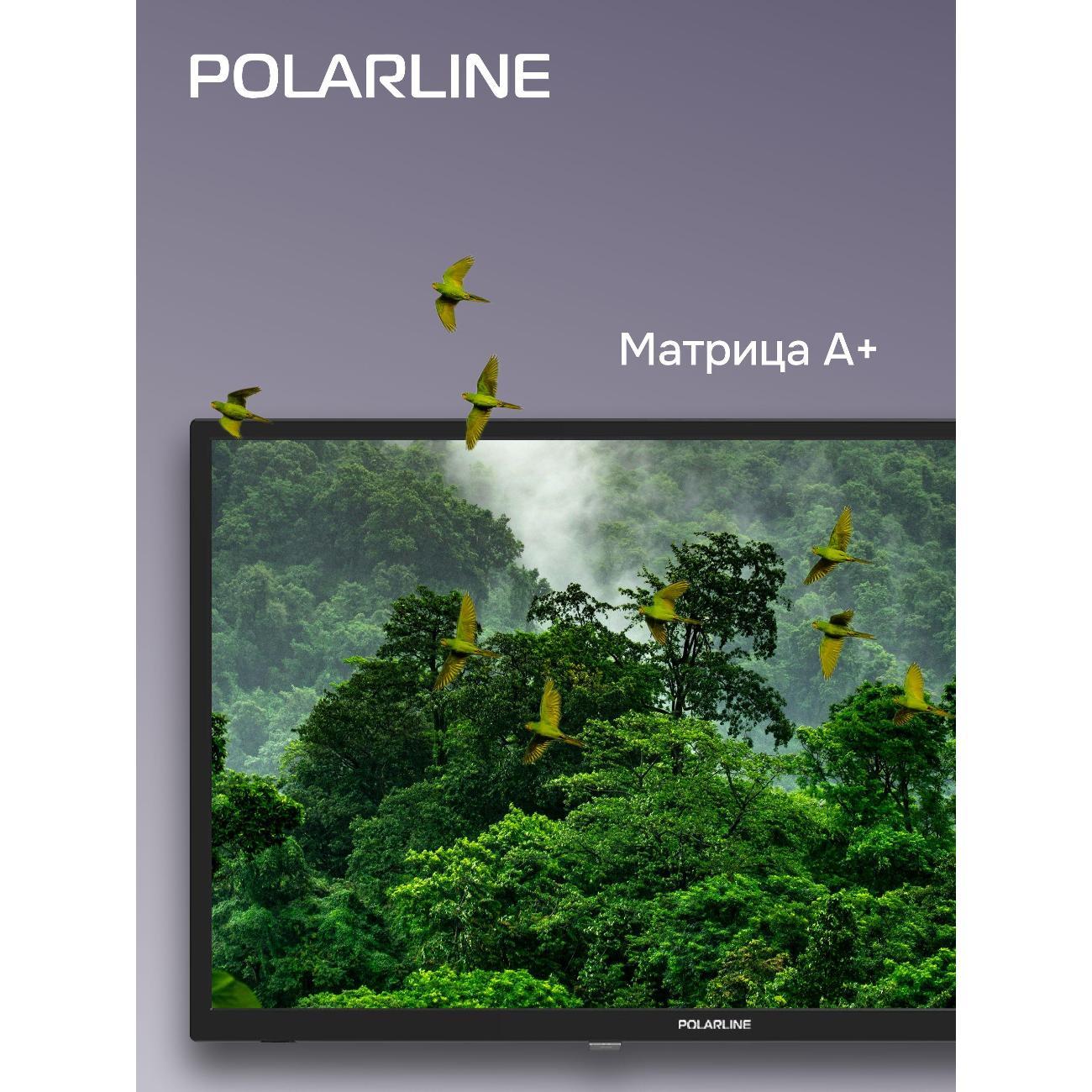 Телевизор POLARLINE 24PL12TC