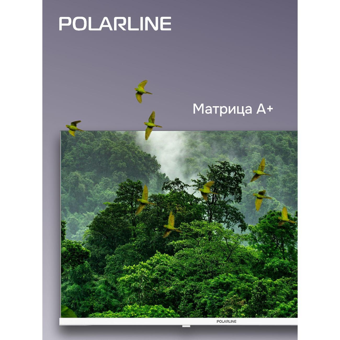 Телевизор POLARLINE 24PL52TC