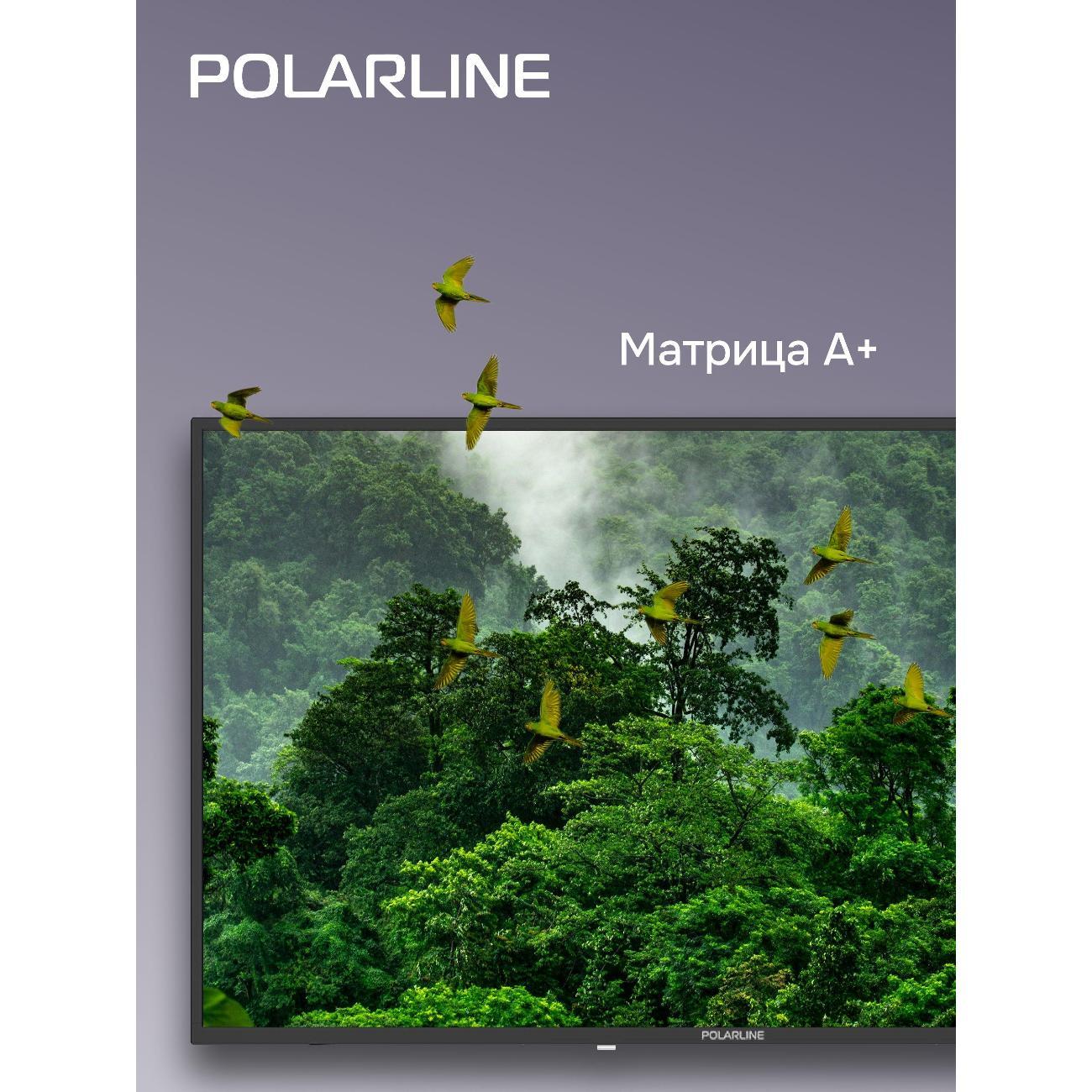 Телевизор POLARLINE 43PL51TC