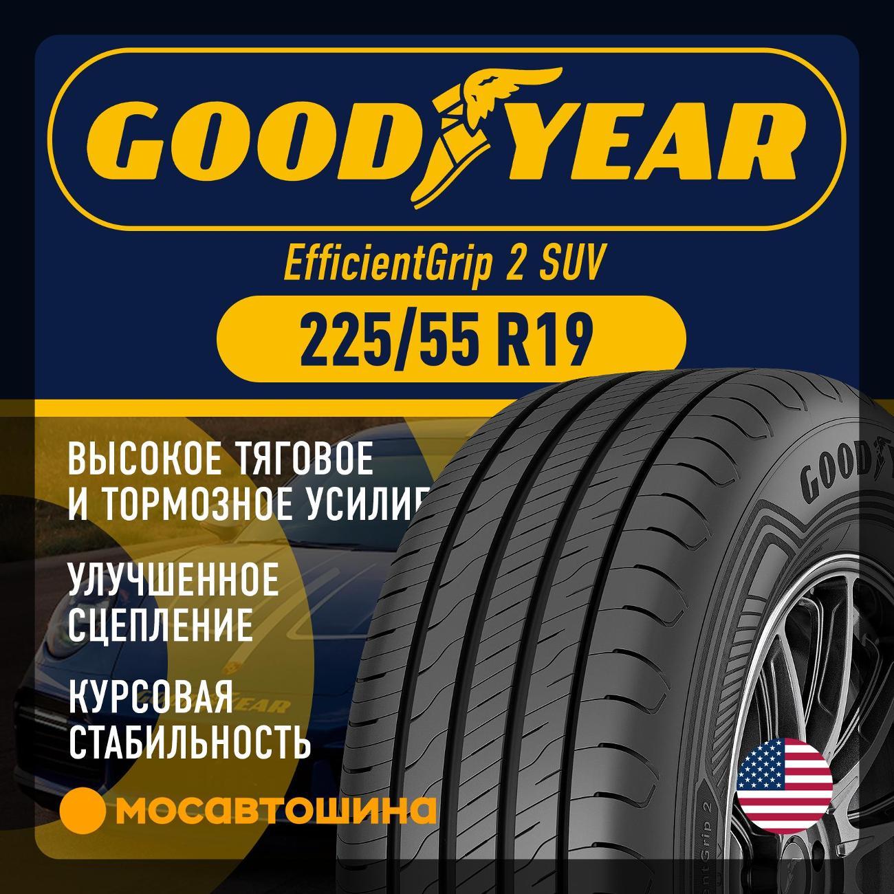 Шина автомобильная Goodyear EfficientGrip 2 SUV 225/55 R19 99V фото