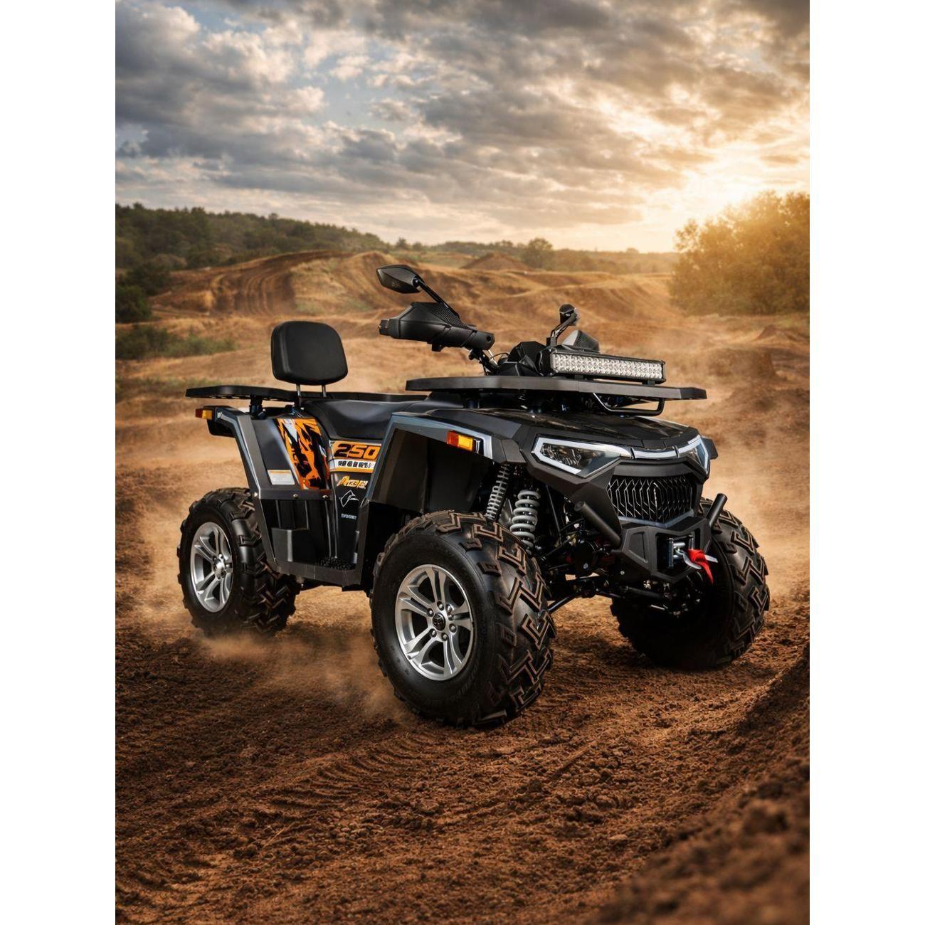 Квадроцикл Avantis Квадроцикл Avantis Hunter 250 Big New Premium