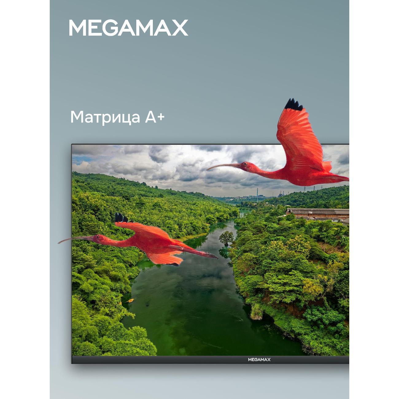 Телевизор MEGAMAX 43MG11FSM