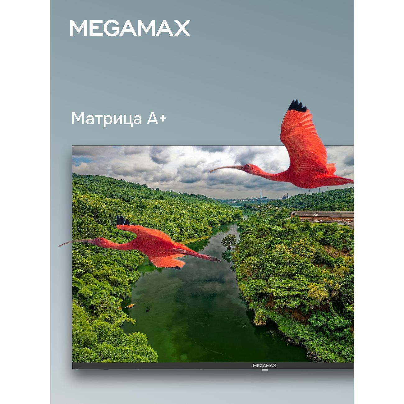 Телевизор MEGAMAX 43MG11USM