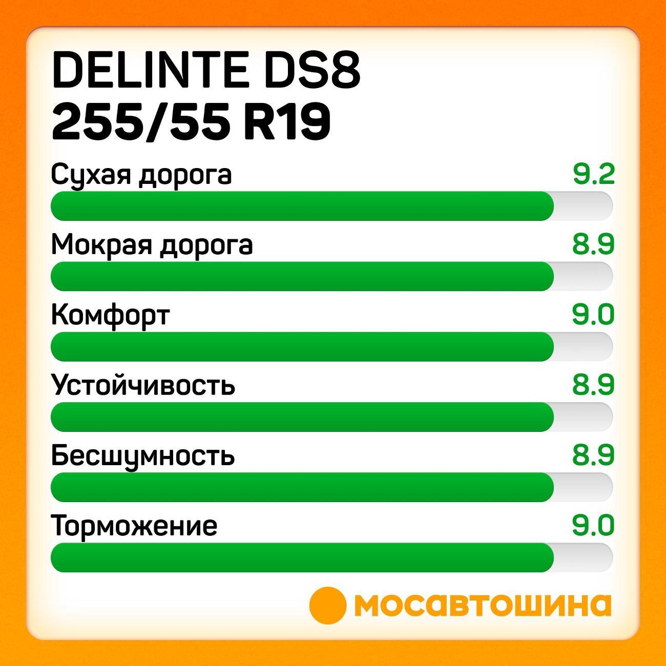 Шина автомобильная Delinte DS8