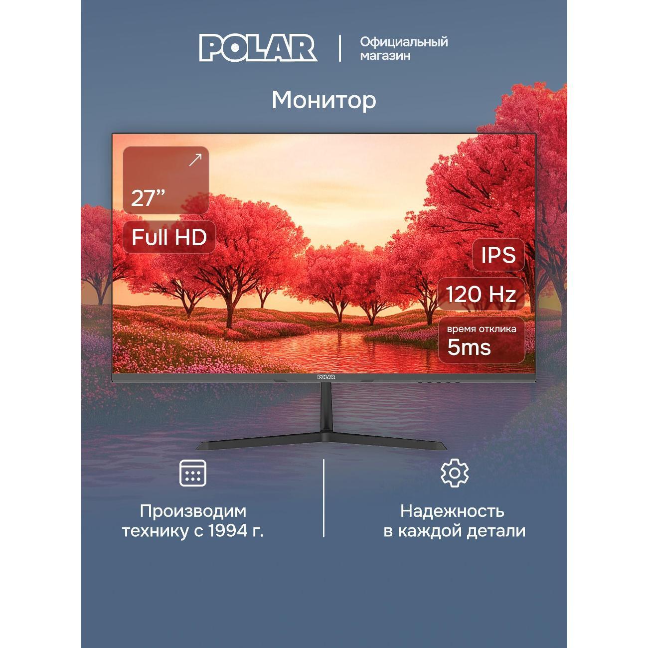Монитор Polar P27F10M