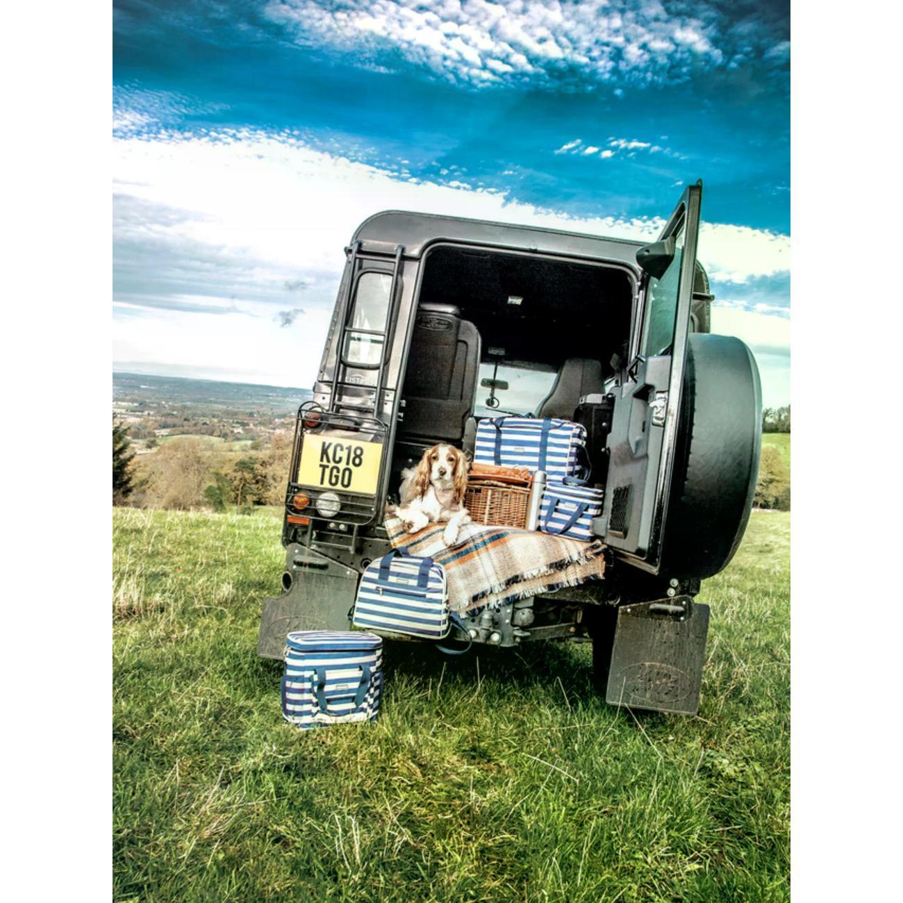 Термосумка Kitchen Craft Kitchen Craft Термосумка We Love Summer 4 литра