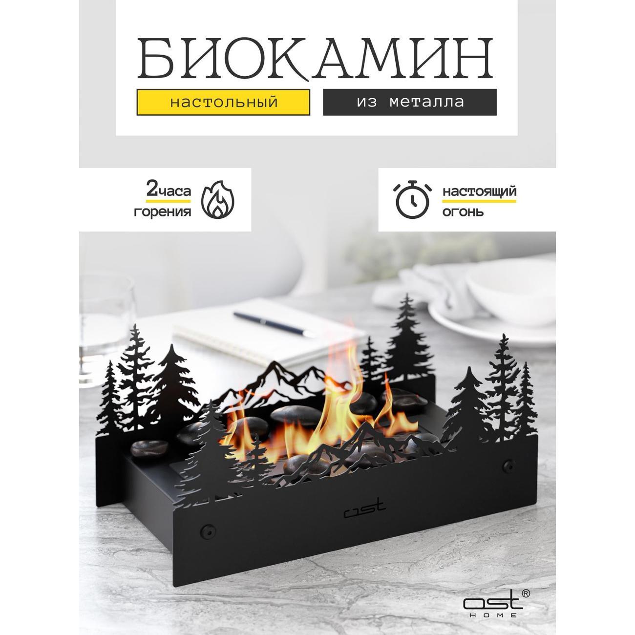 Биокамин Рус.Хоум Настольный "Taiga" B фото