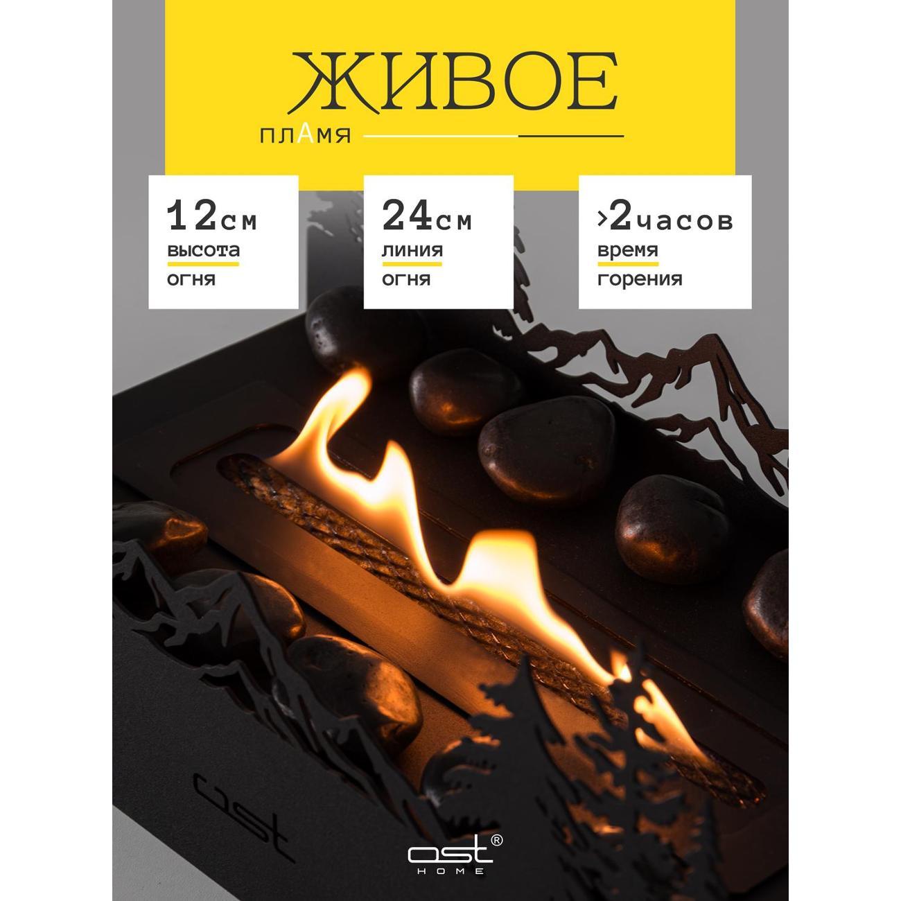 Биокамин Рус.Хоум Настольный "Taiga" B