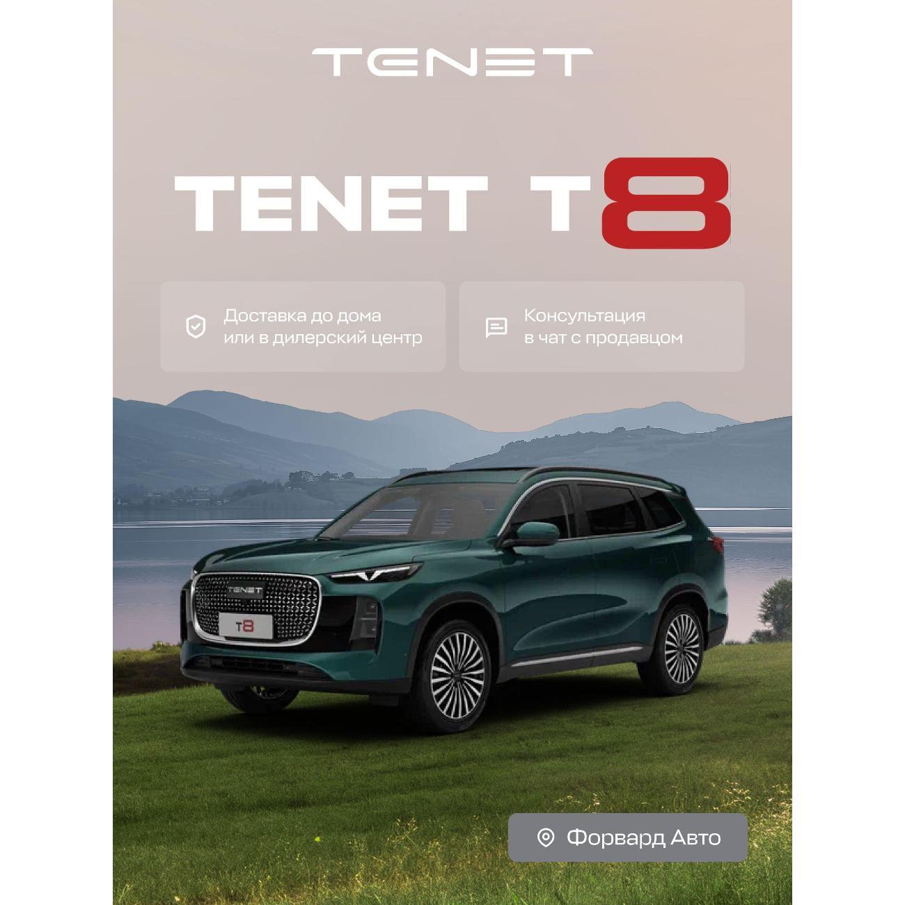 Автомобиль бензиновый TENET T8