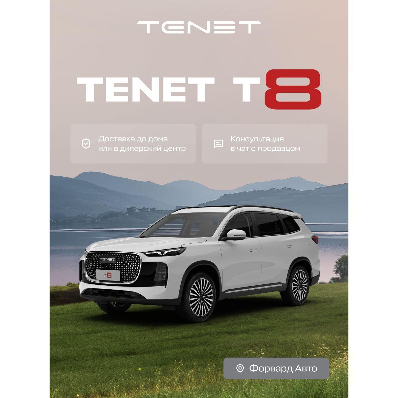 Автомобиль бензиновый TENET T8