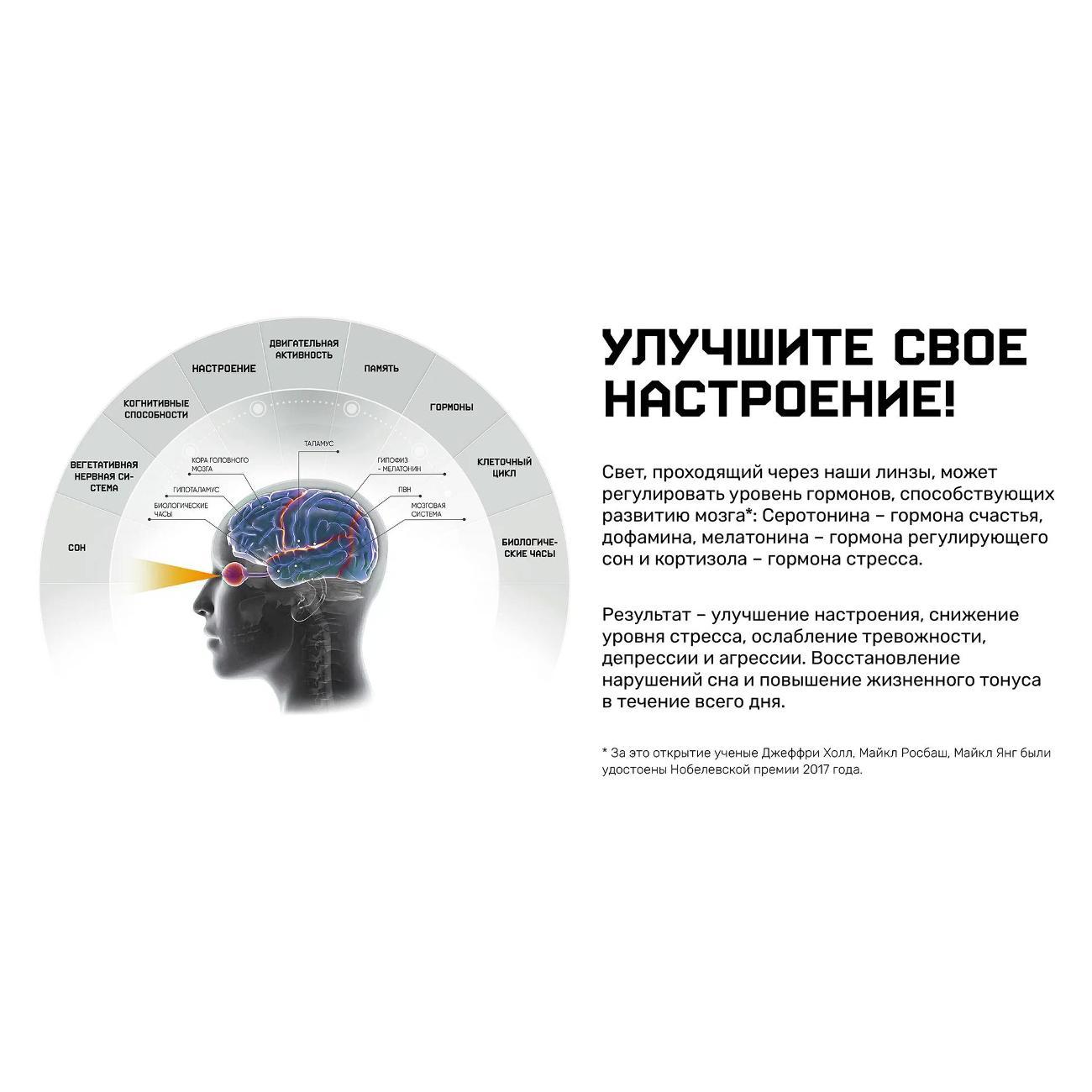 Очки для компьютера Zepter HE-0806LG