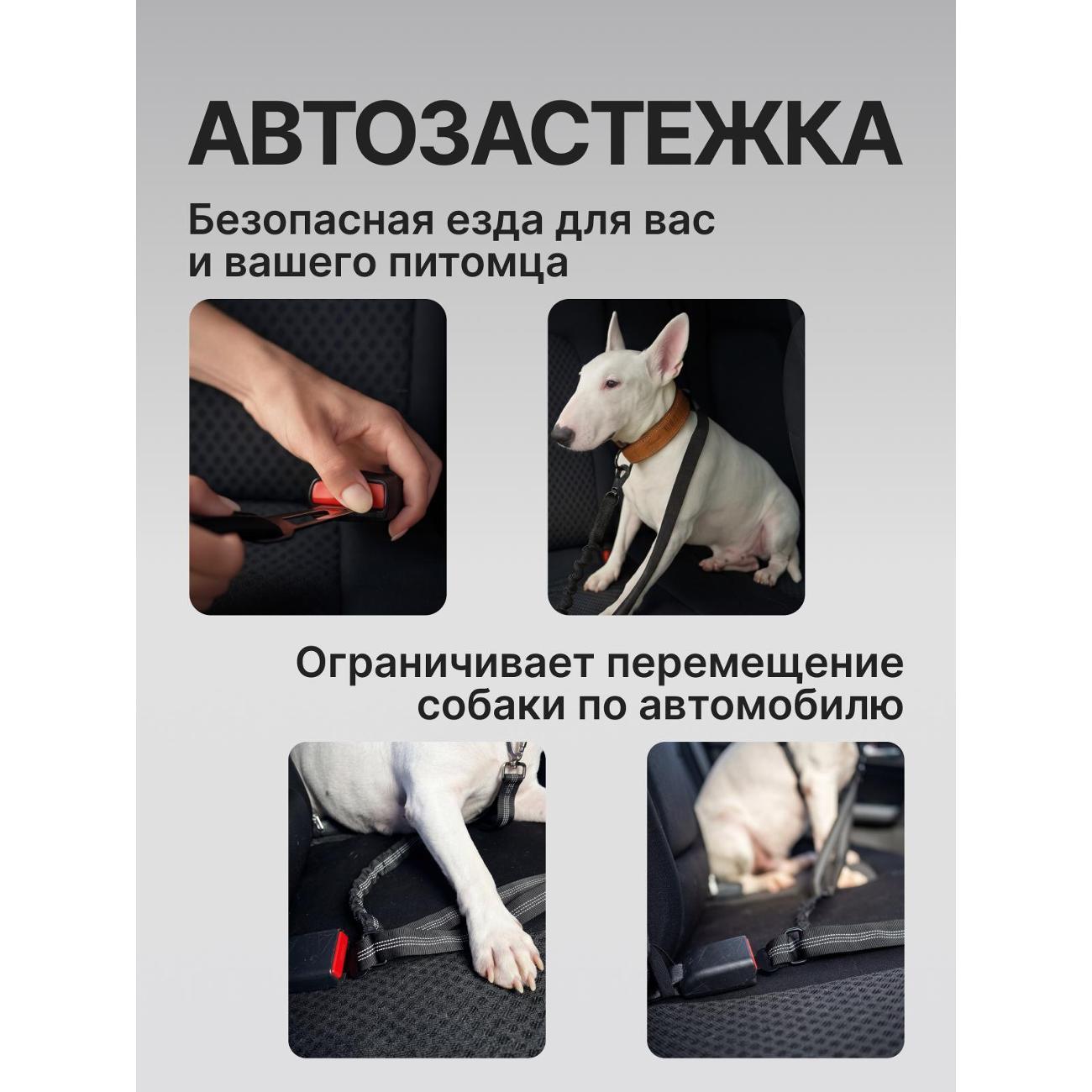 Поводок Art Black povodok_1