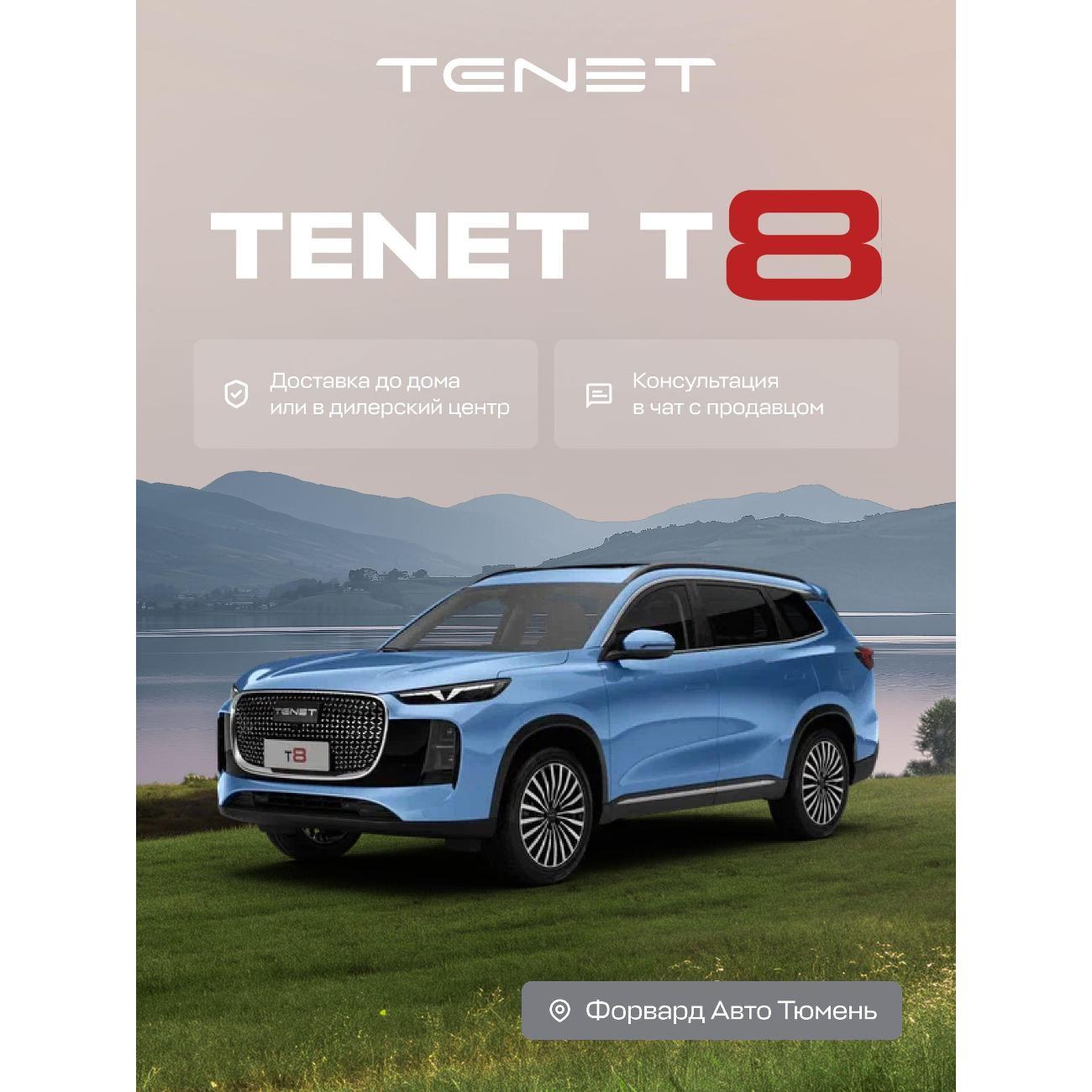 Автомобиль бензиновый TENET T8