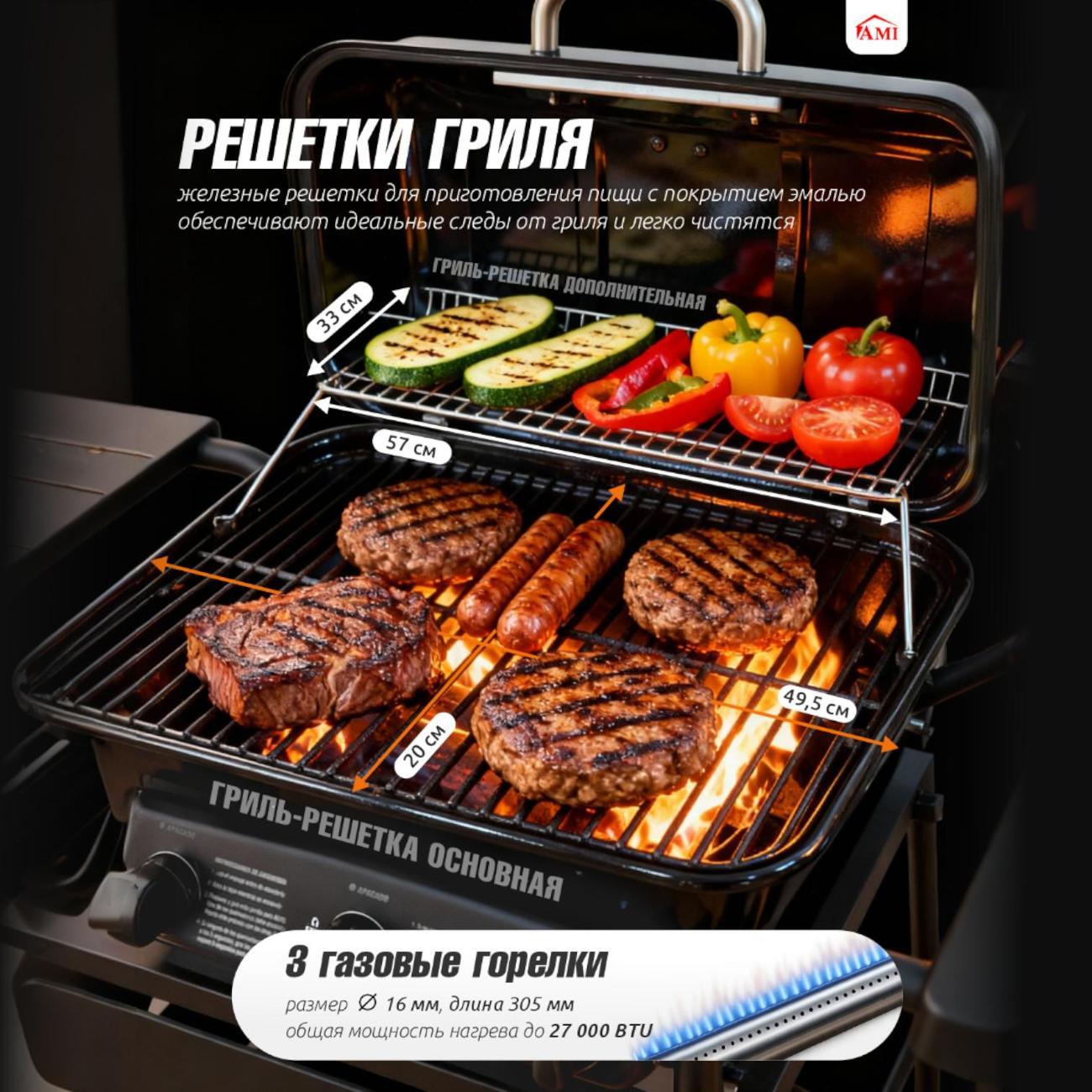 Газовый гриль туристический Ami Pro Expert черный портативный для барбекю