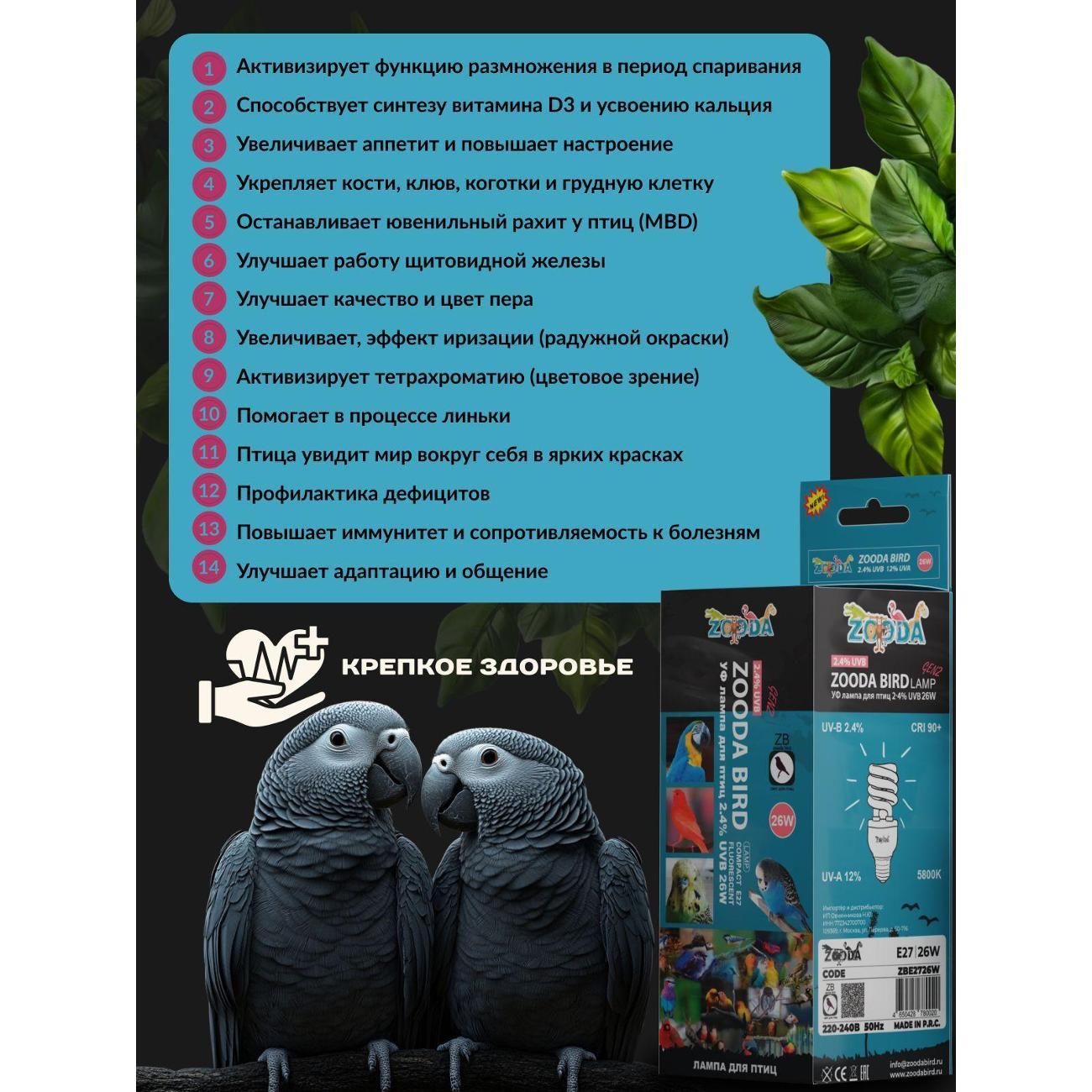 Лампа для птиц и животных ZOODA E27