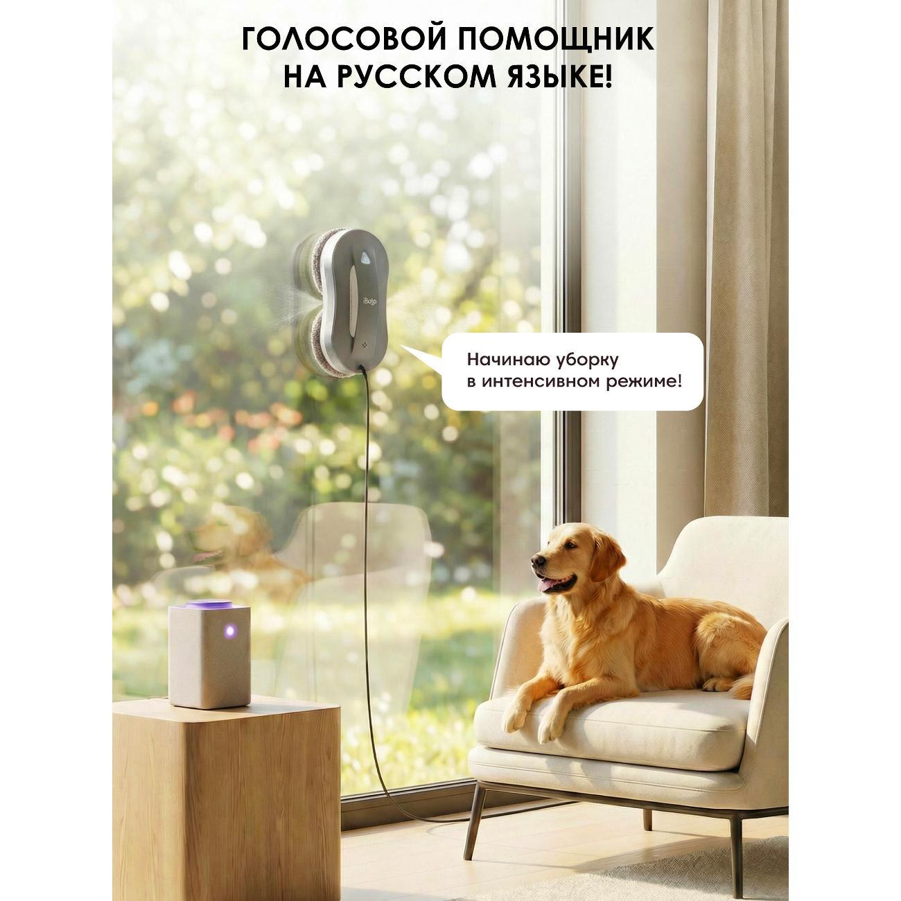 Робот-стеклоочиститель iBoto Win 397