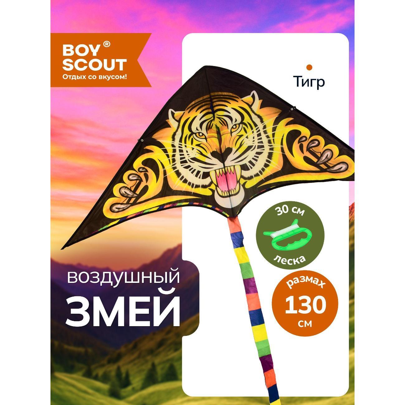Воздушный змей BoyScout Змей фото