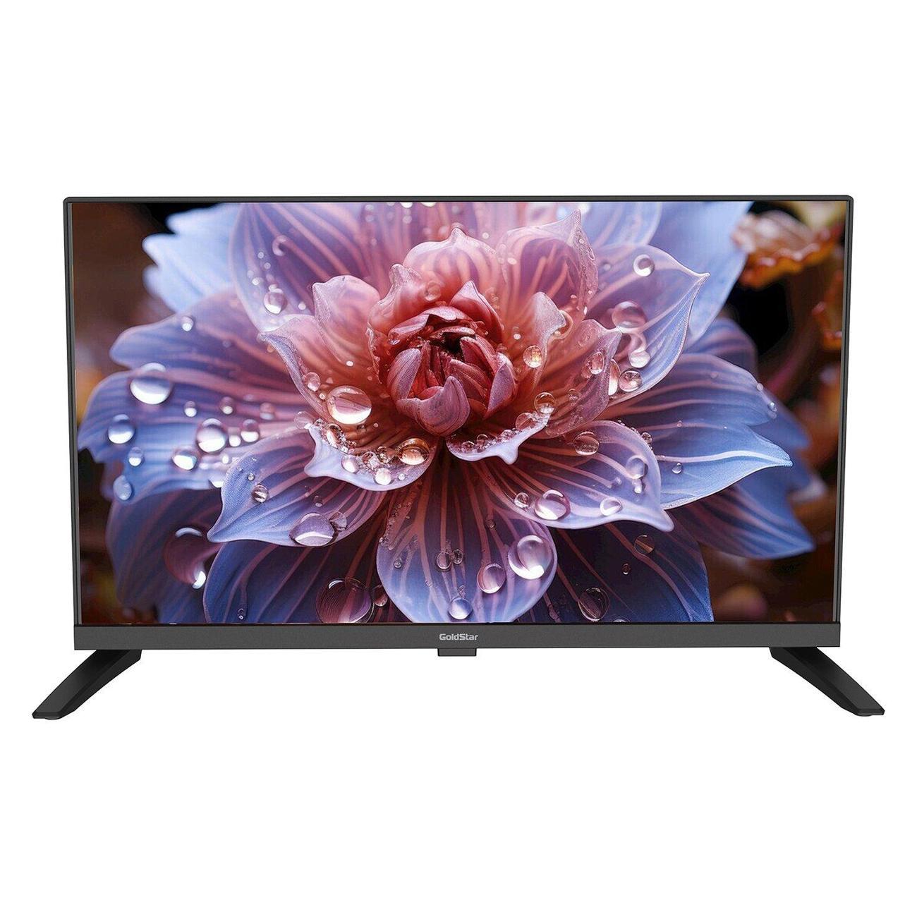 Телевизор GoldStar LT-24R1100 фото