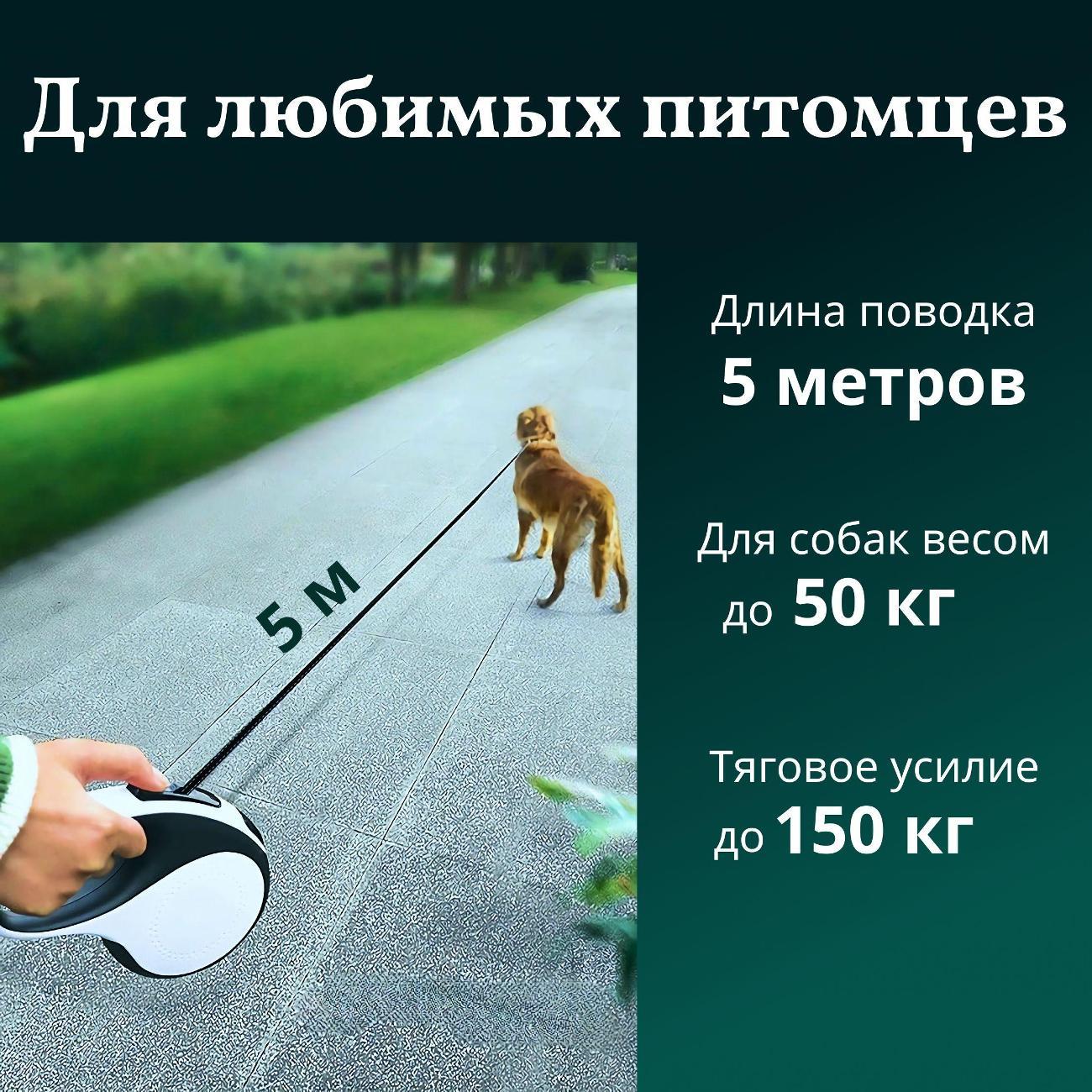 Поводок Best 2 Pets для собак рулетка с фонариком type-C