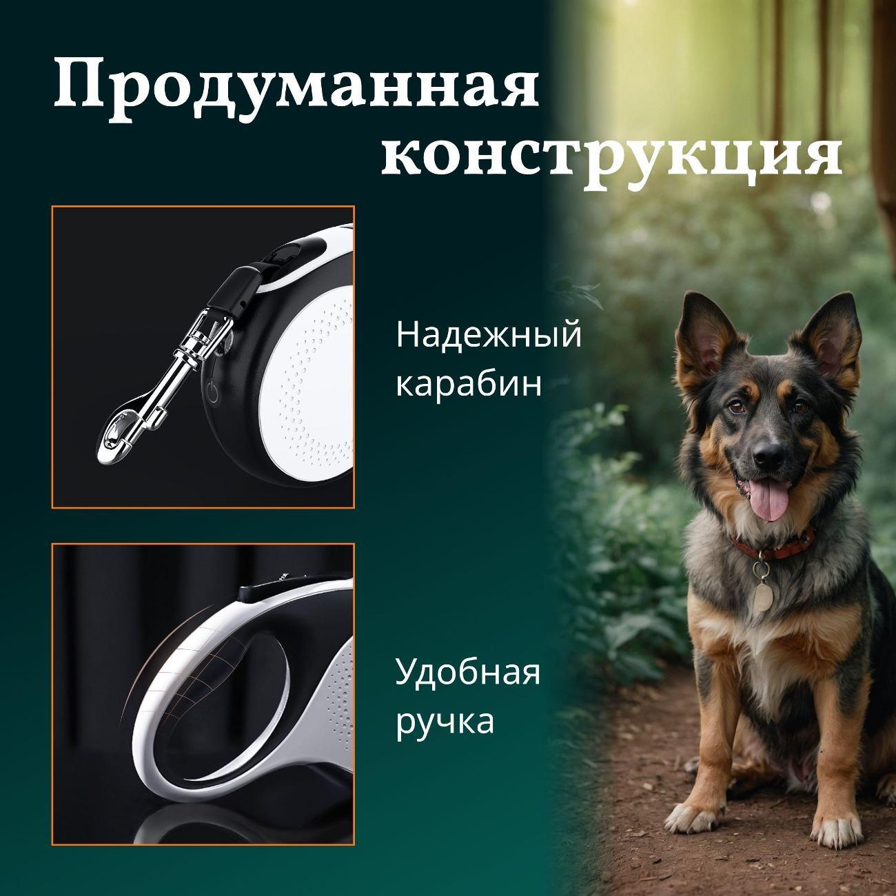Поводок Best 2 Pets для собак рулетка с фонариком type-C