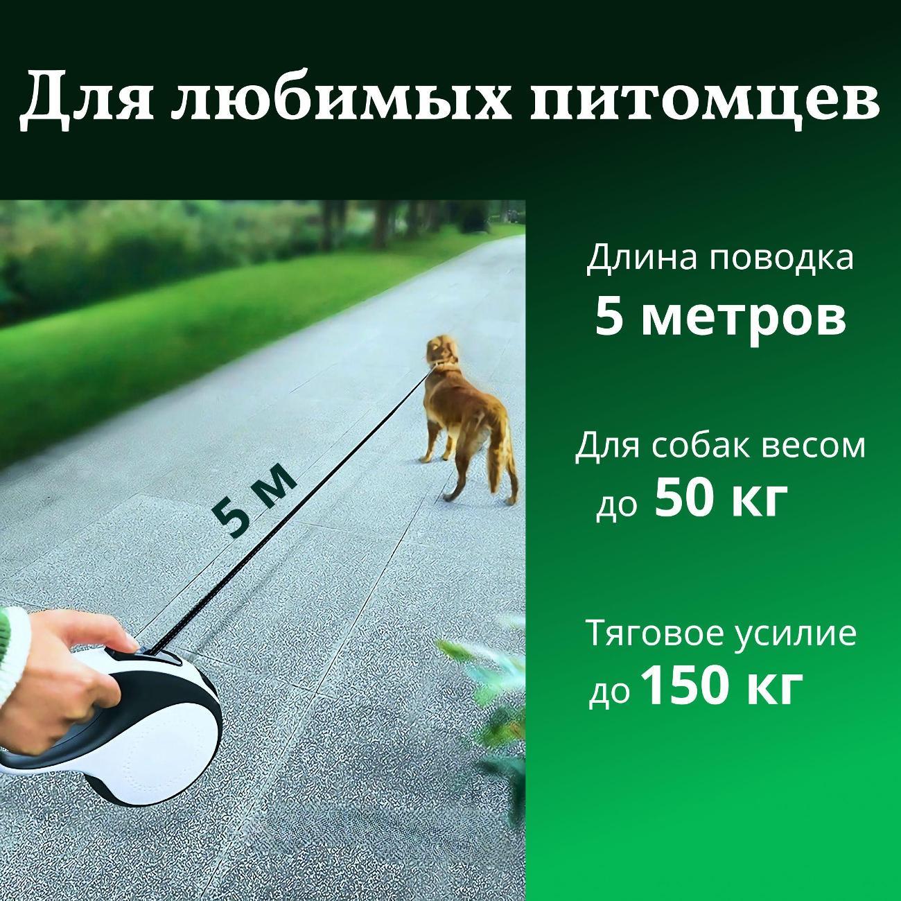 Поводок Best 2 Pets для собак рулетка с фонариком type-C