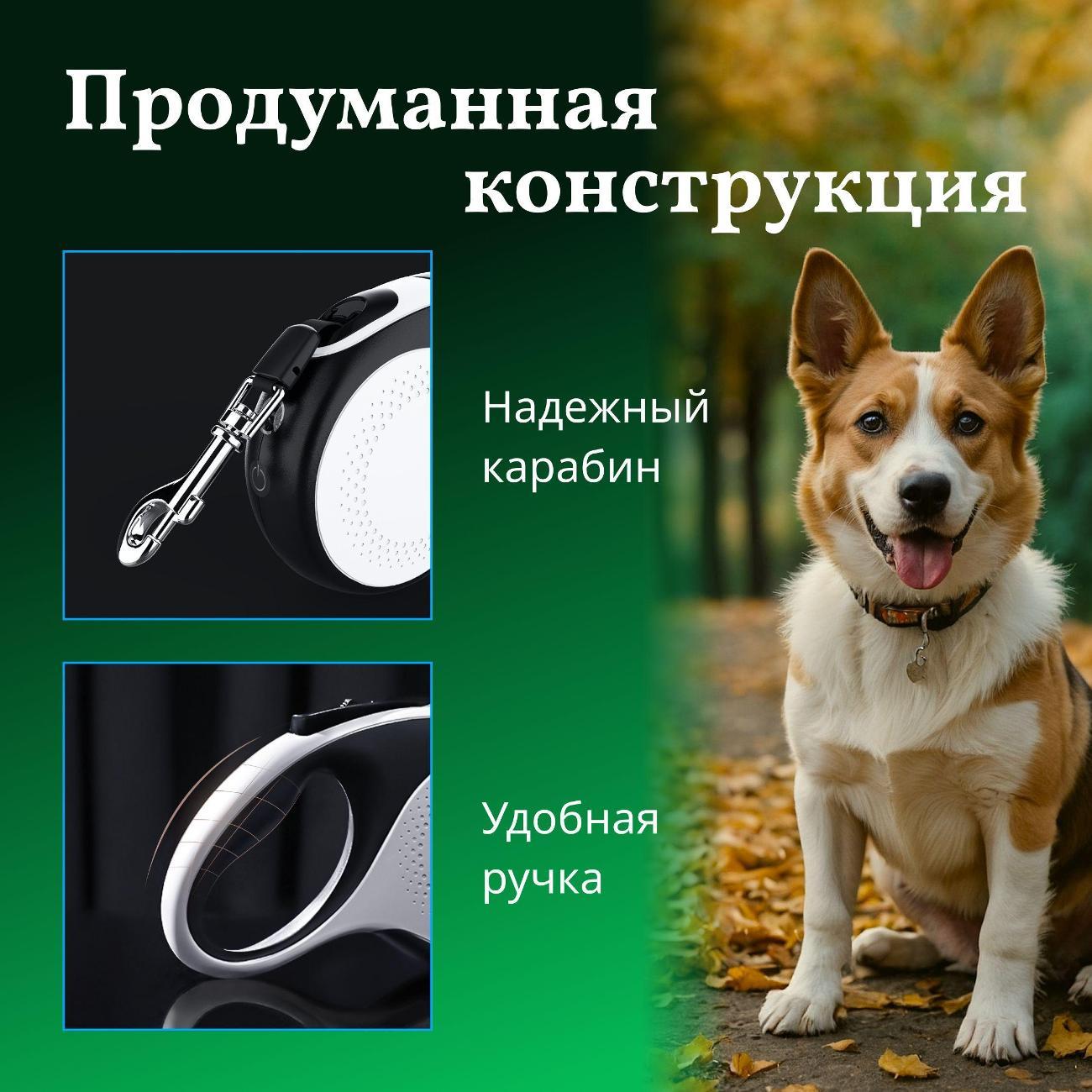 Поводок Best 2 Pets для собак рулетка с фонариком type-C